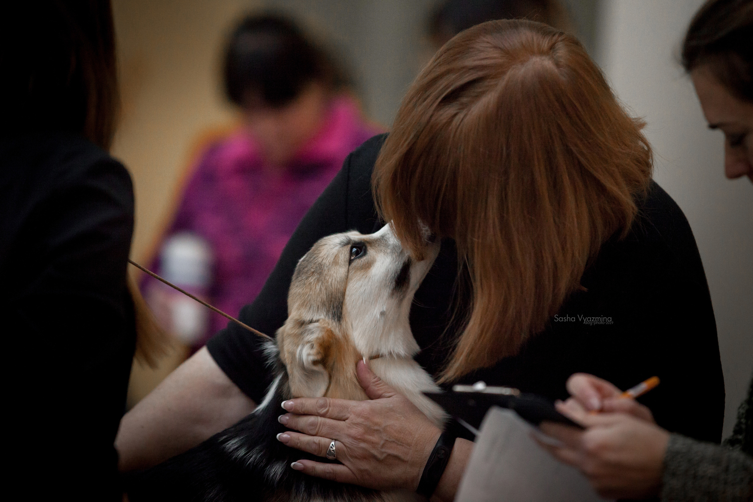 24.11.2019 — Самара. Фотограф-анималист Саша Вязьмина