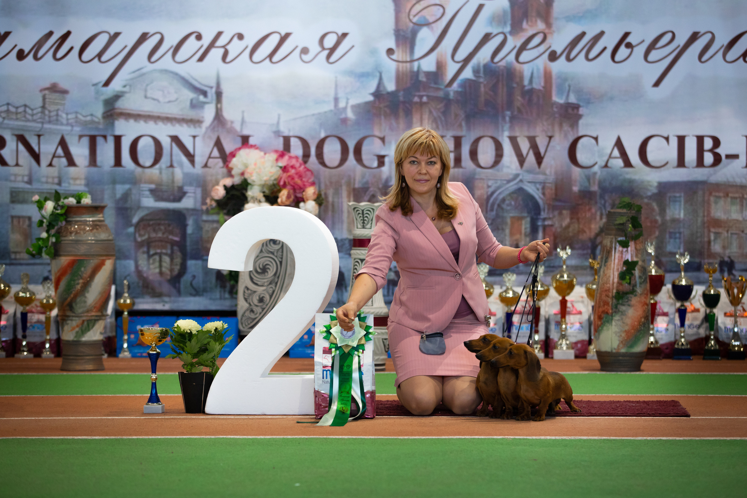 выставка самара сасиб фото с бестов рингов конкурса питомников таксы