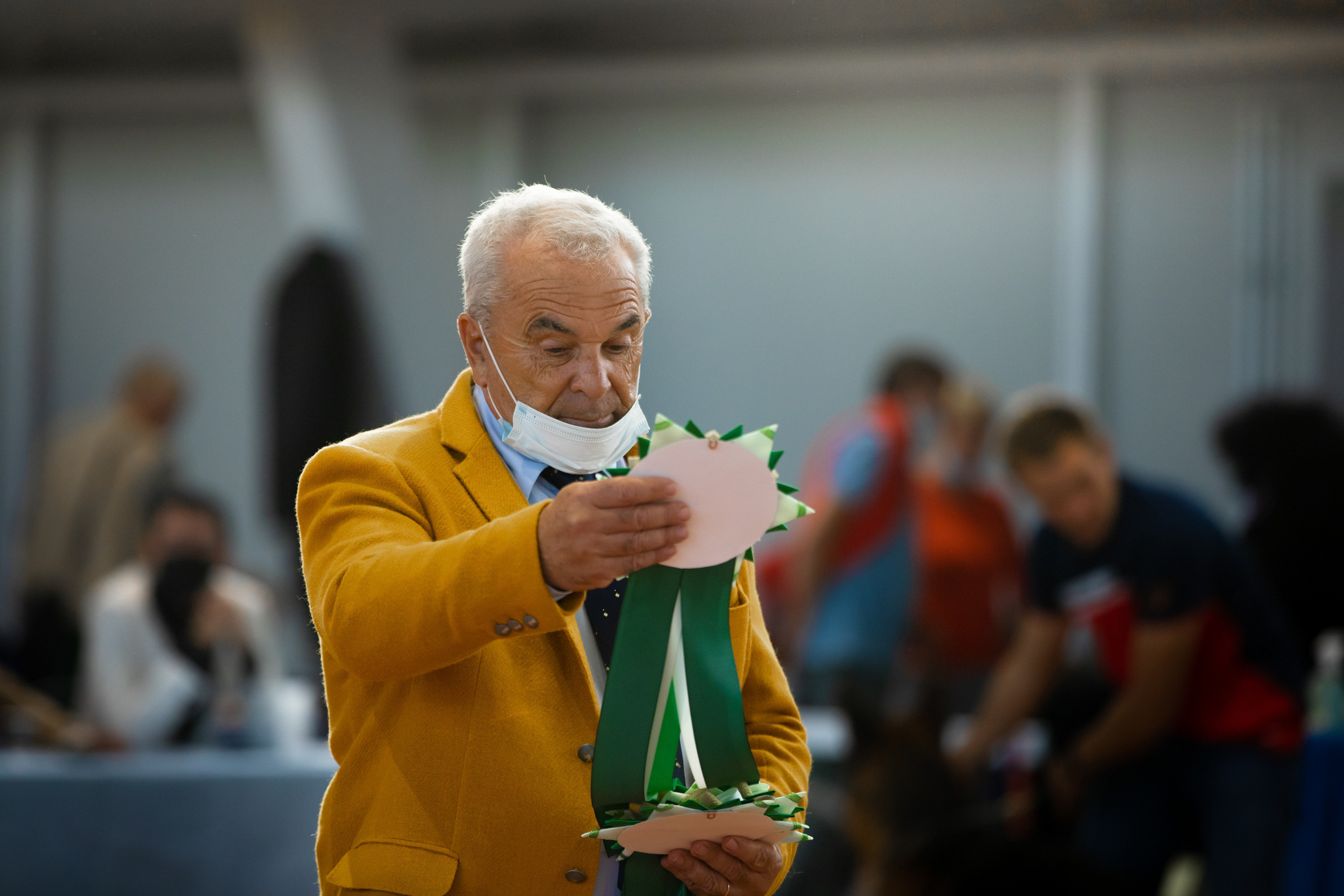 эксперт на выставке собак 