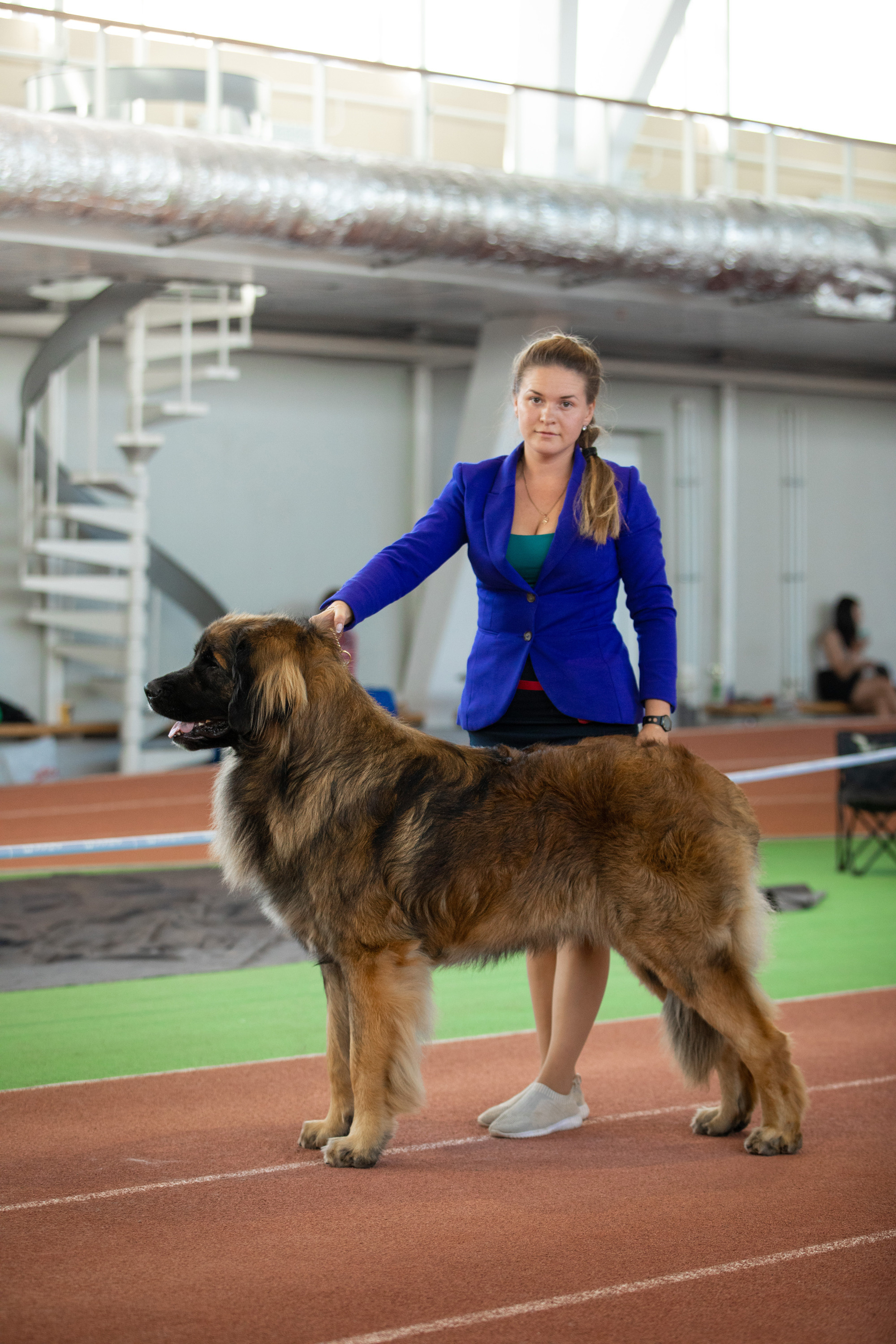 фото хендлер с собакой на выставке самара клуб сасиб