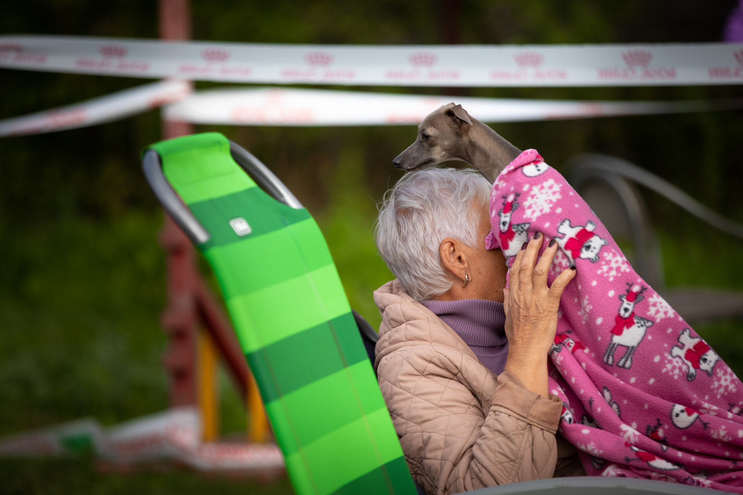 Магнитогорск выставка момент милый левретка 