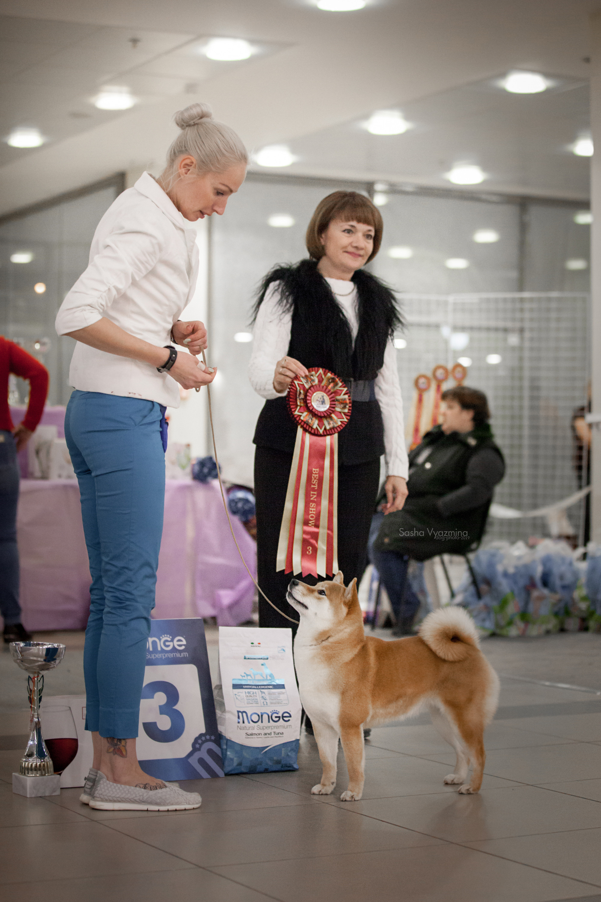 24.11.2019 — Самара. Фотограф-анималист Саша Вязьмина