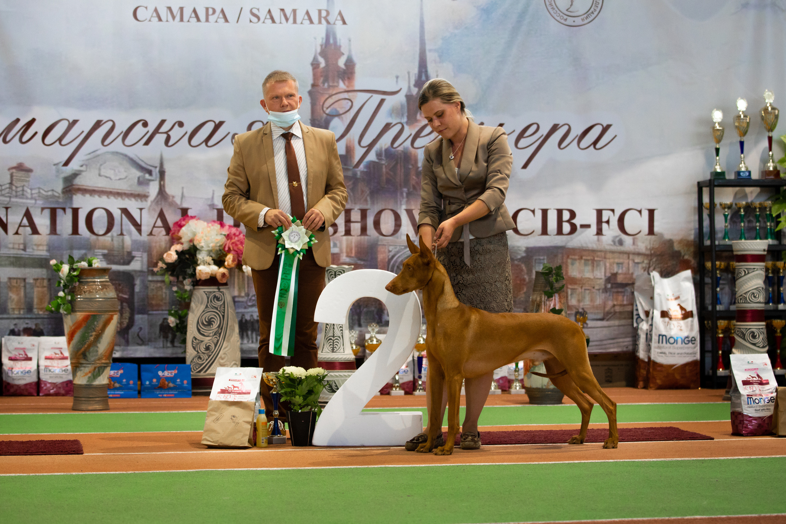 фотографии фотографов анималистов с шестов и  конкурсов выставки CACIB в Самаре 