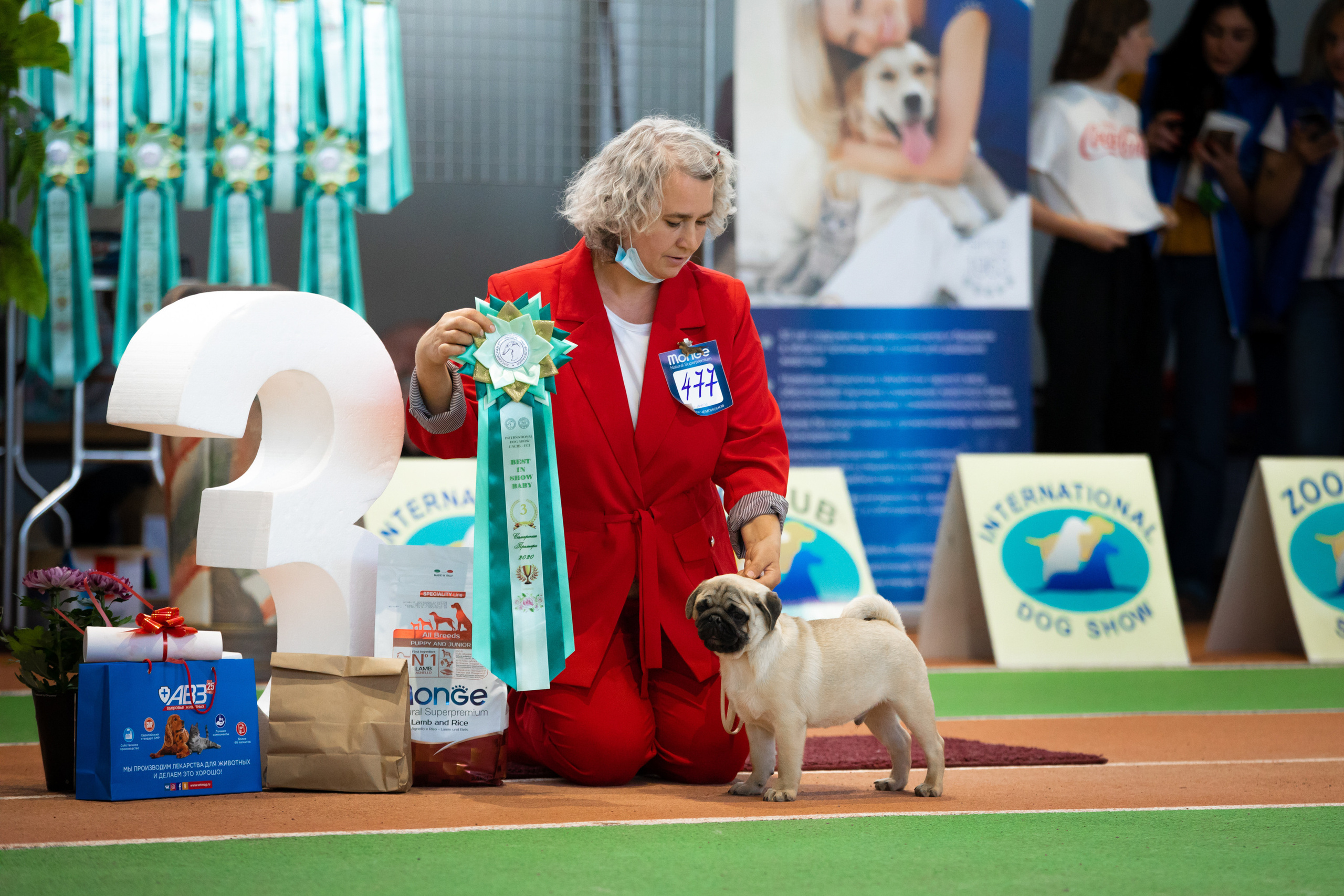 фото  выставки CACIB самара 