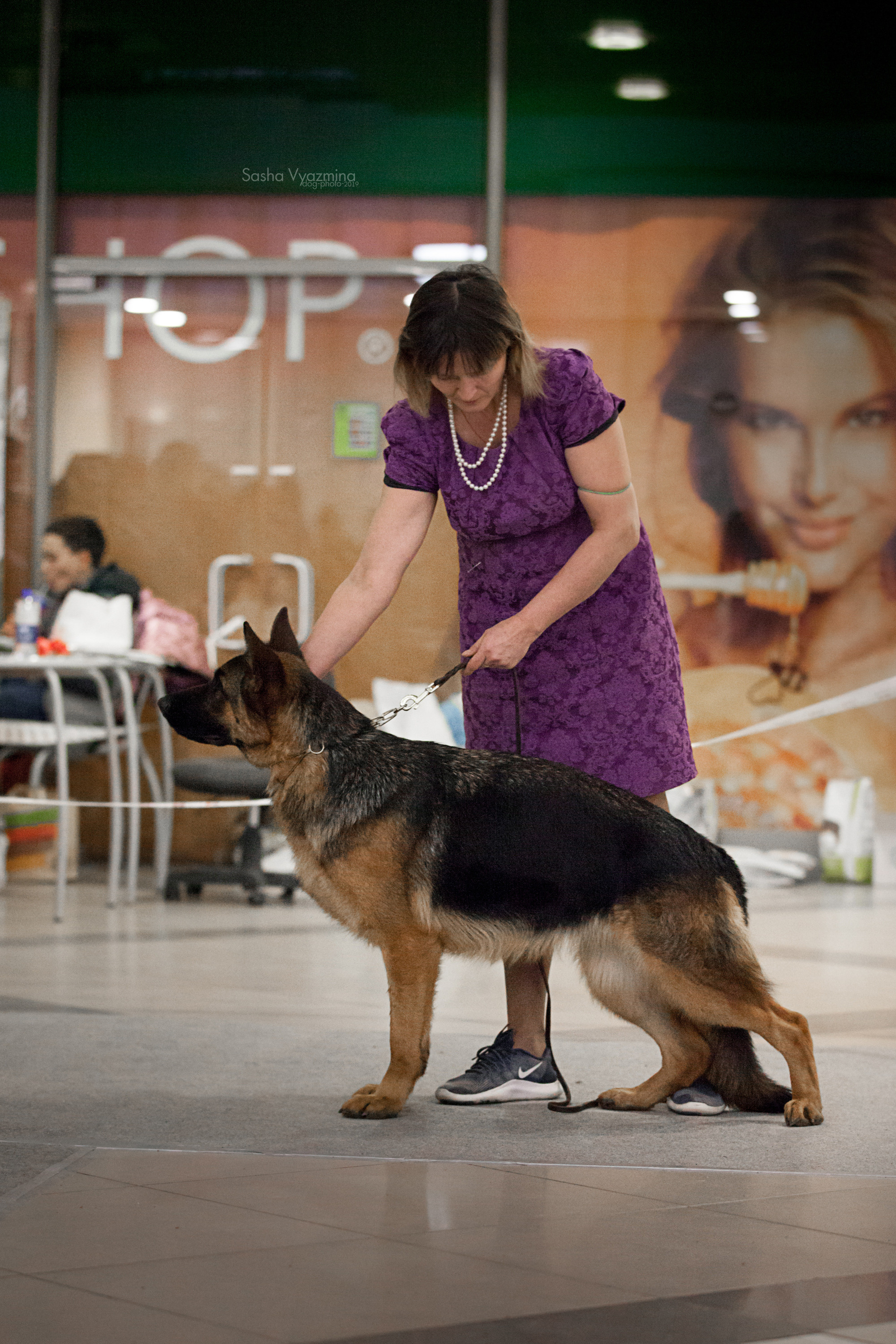 24.11.2019 — Самара. Фотограф-анималист Саша Вязьмина
