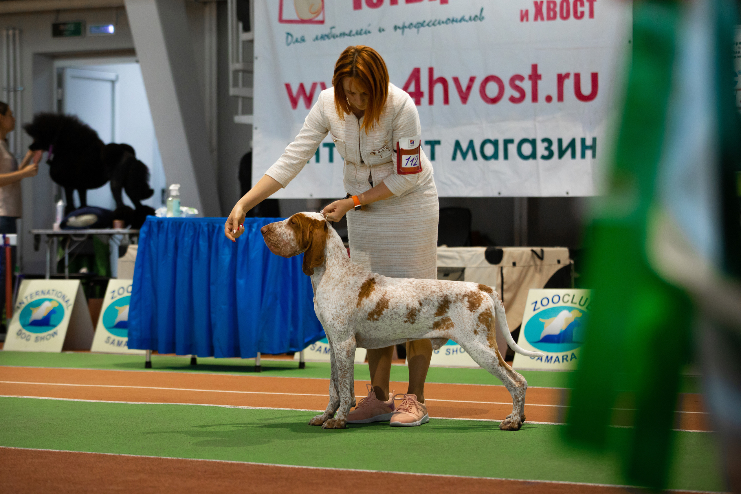 самарский CACIB фото с бестов 