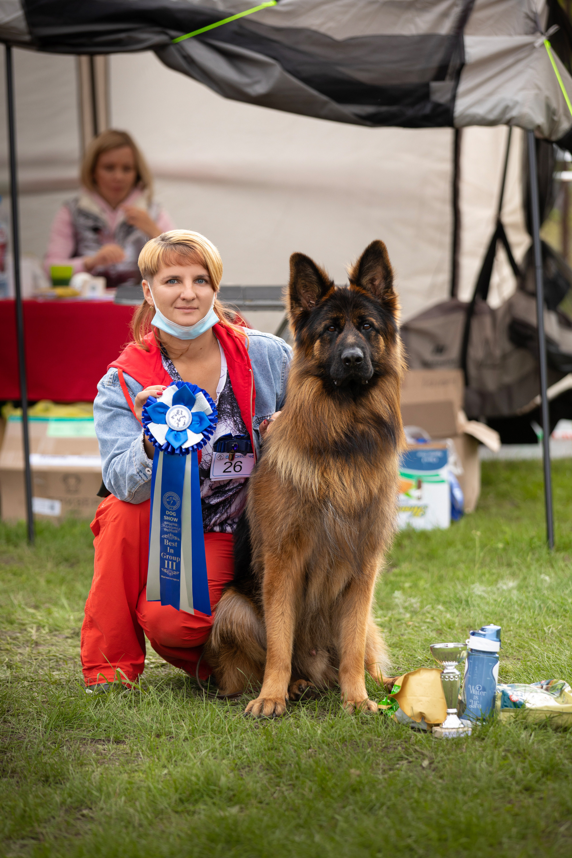 немецкая овчарка на выставке собак фото ринг бесты Магнитка 2020 вязьмина 
