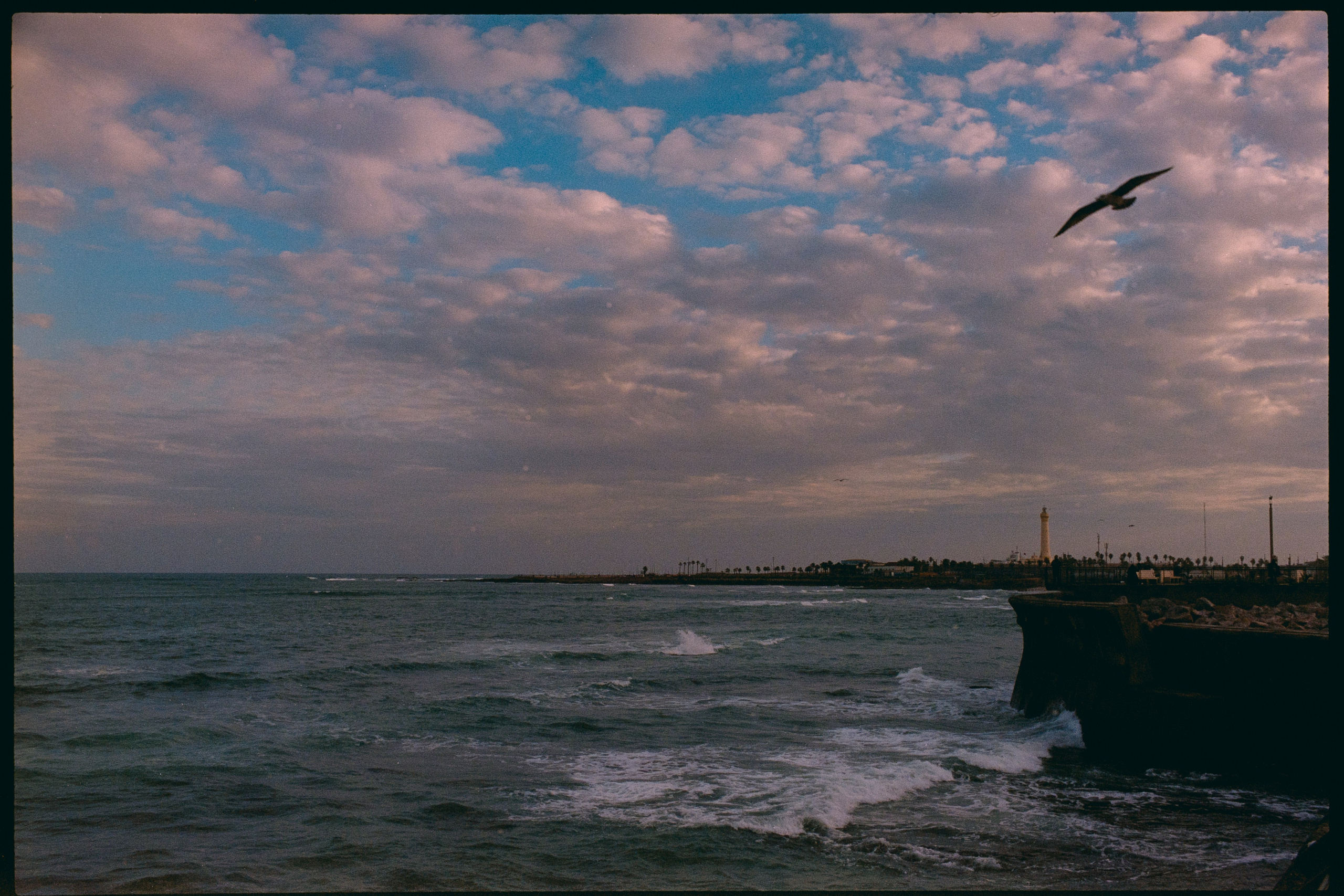 Марокко (плёнка Алёны). Игорь Гичка. Портрет с любовью