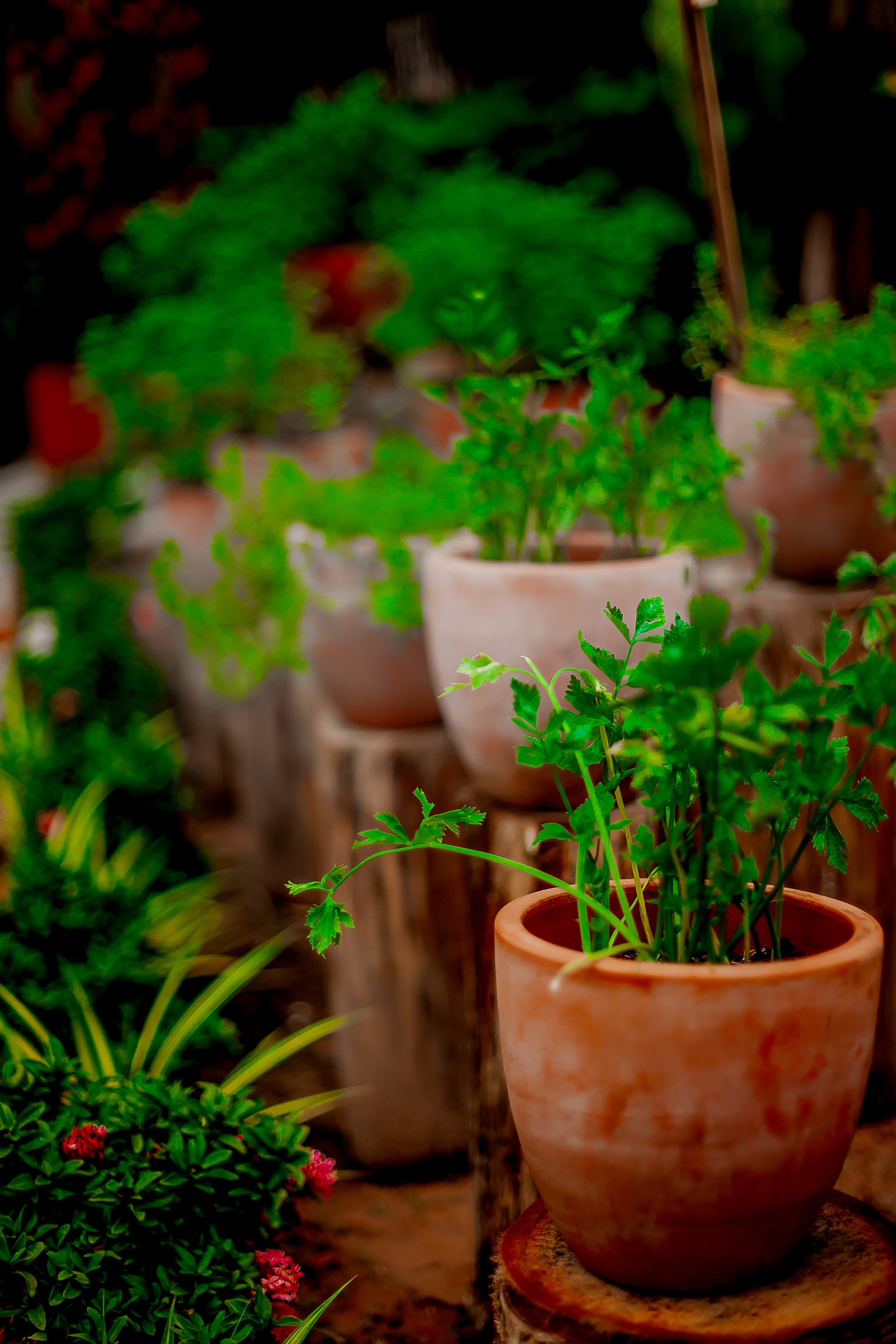 Репортажный фотограф Ялта. Репортажный фотограф Ялта