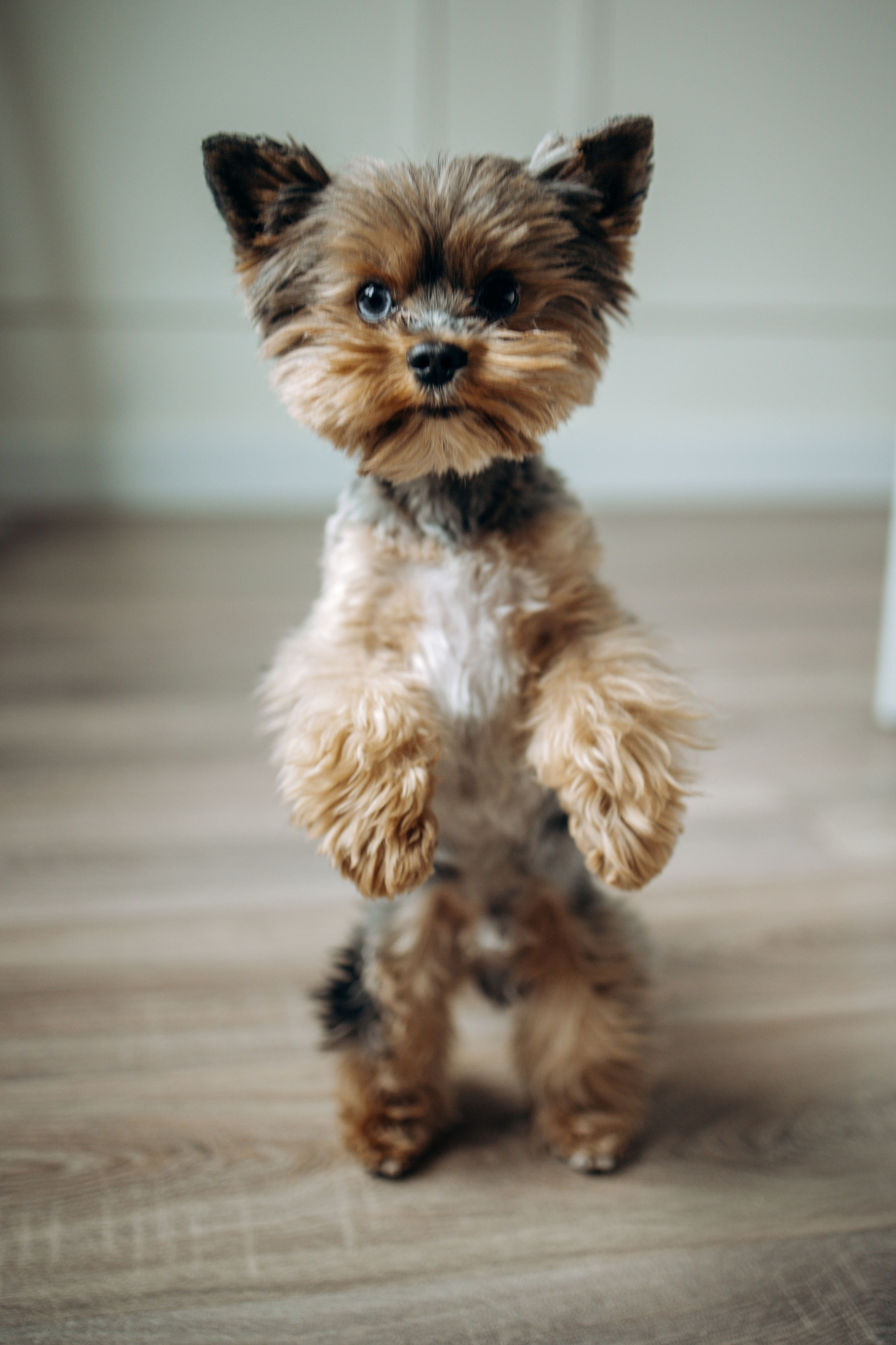 Настя и Йося