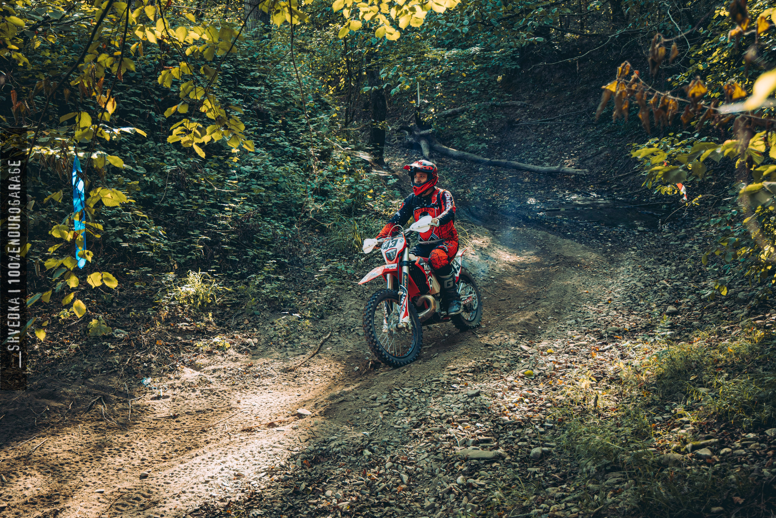 2 лесной день. Ваш экстрим фотограф Кудрева Яна