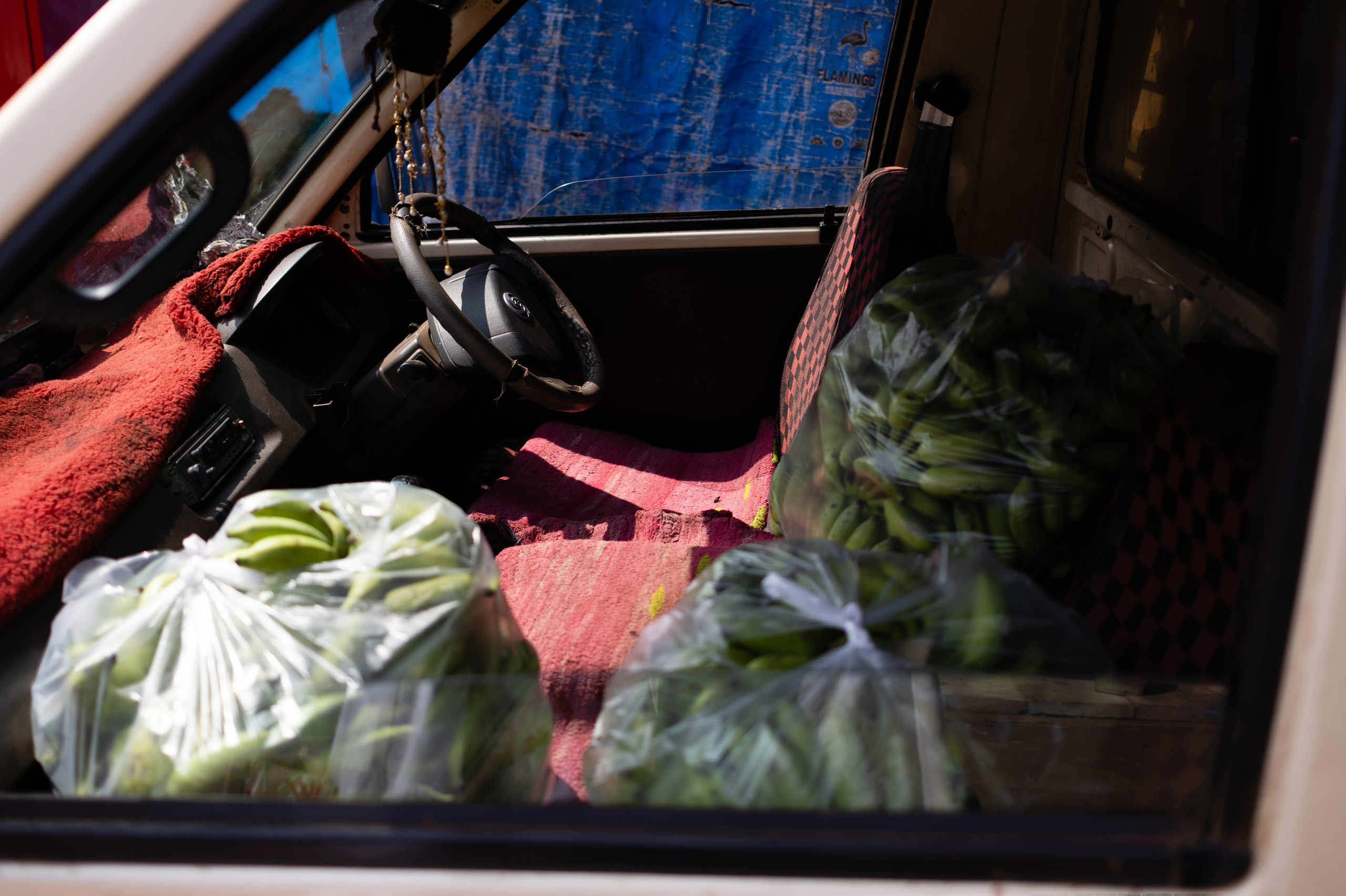 ГОА 2024. Руслан Плахтеев