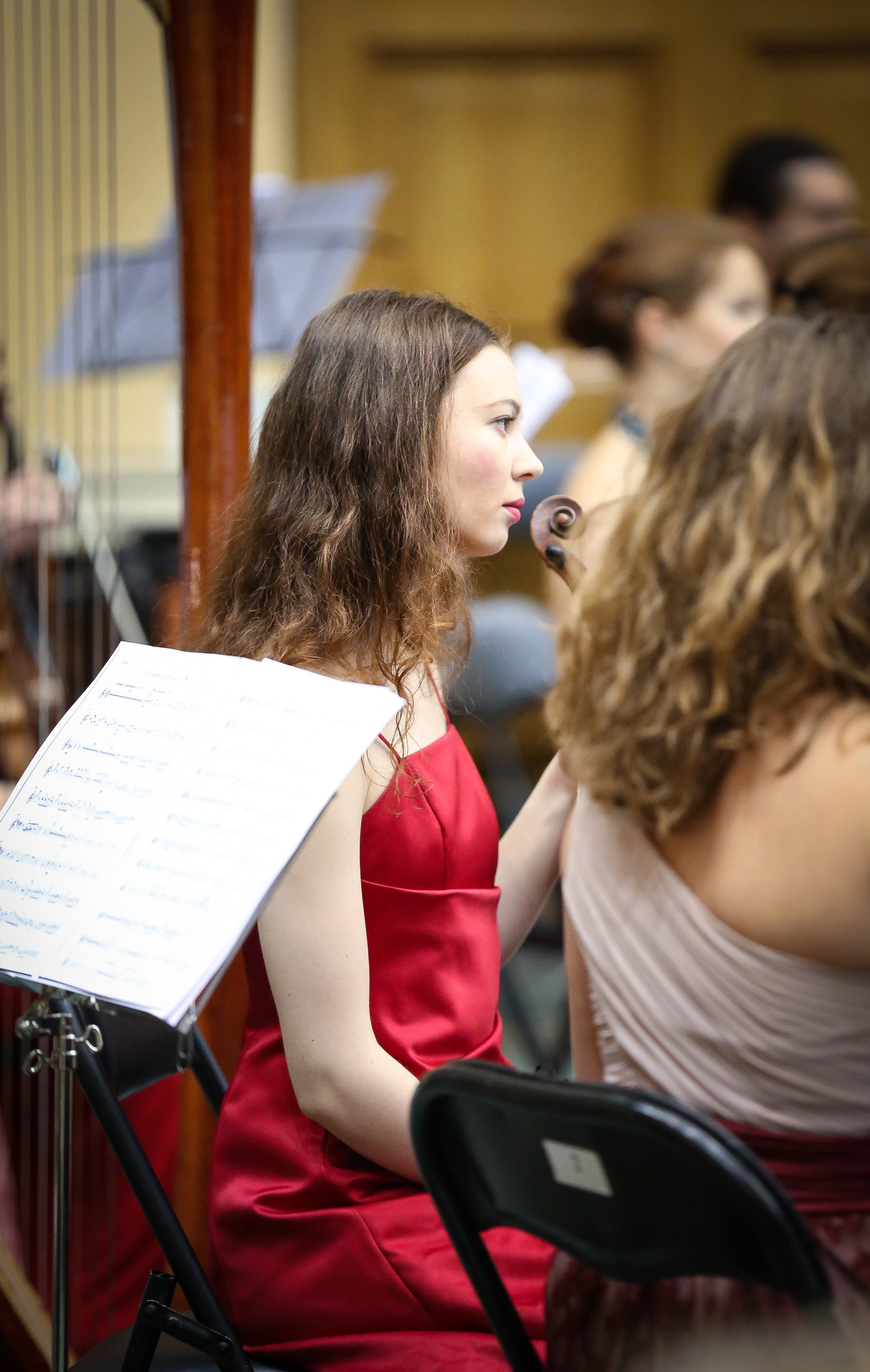 Концерт «Приглашение к танцу» в Музее Пушкина. Дарья Письменюк / Darya Leitstern — фотограф, музыкант, журналист, путешественник