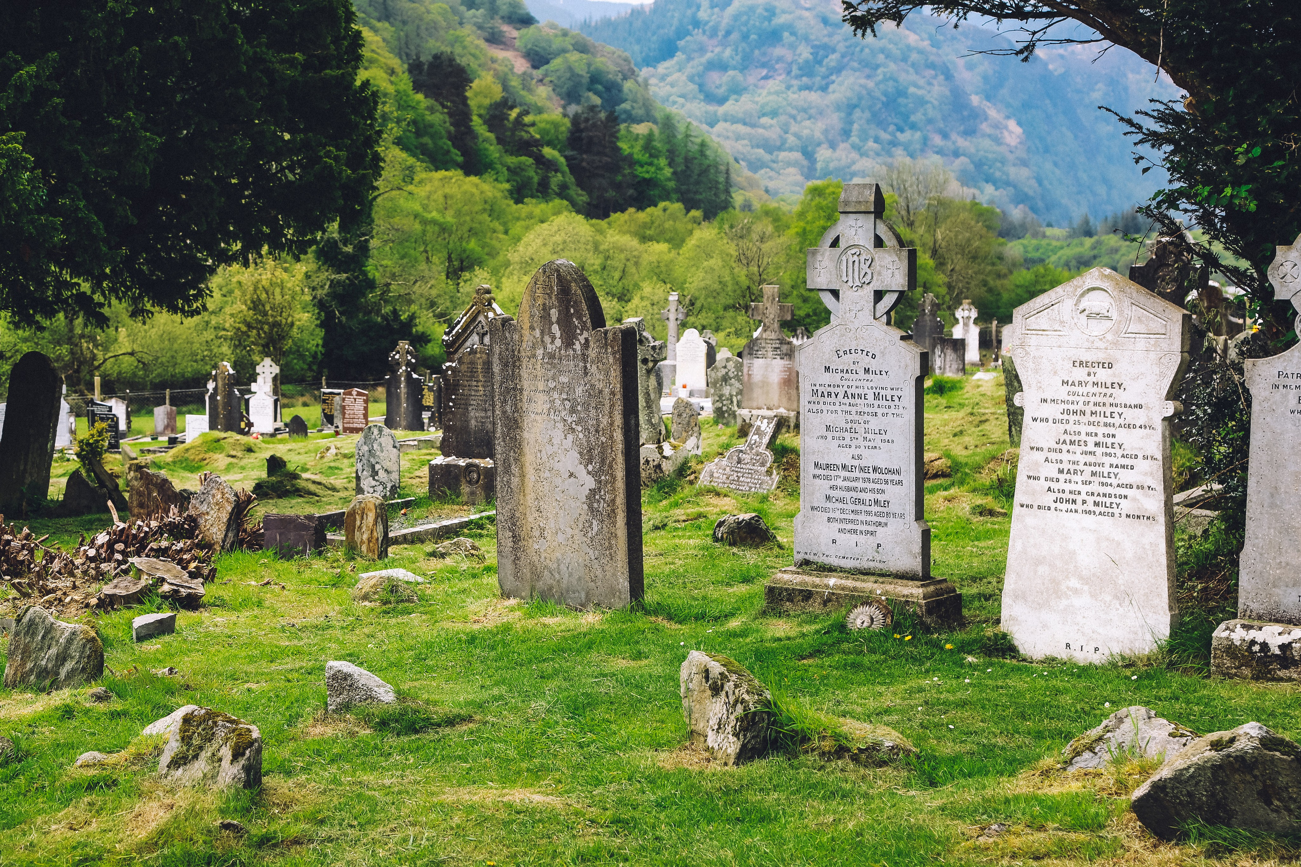 Ирландия: Горы Уиклоу. Дарья Письменюк / Darya Leitstern — фотограф, музыкант, журналист, путешественник