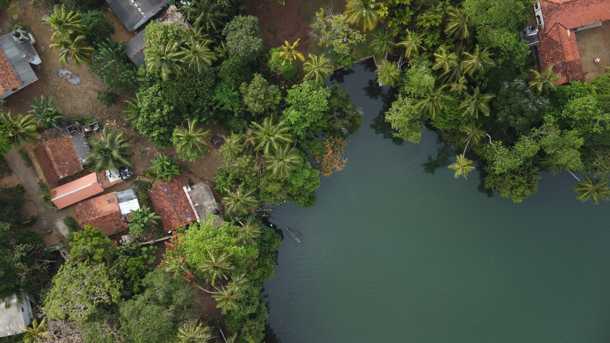 Промо. Filmmaker Vadim Averin