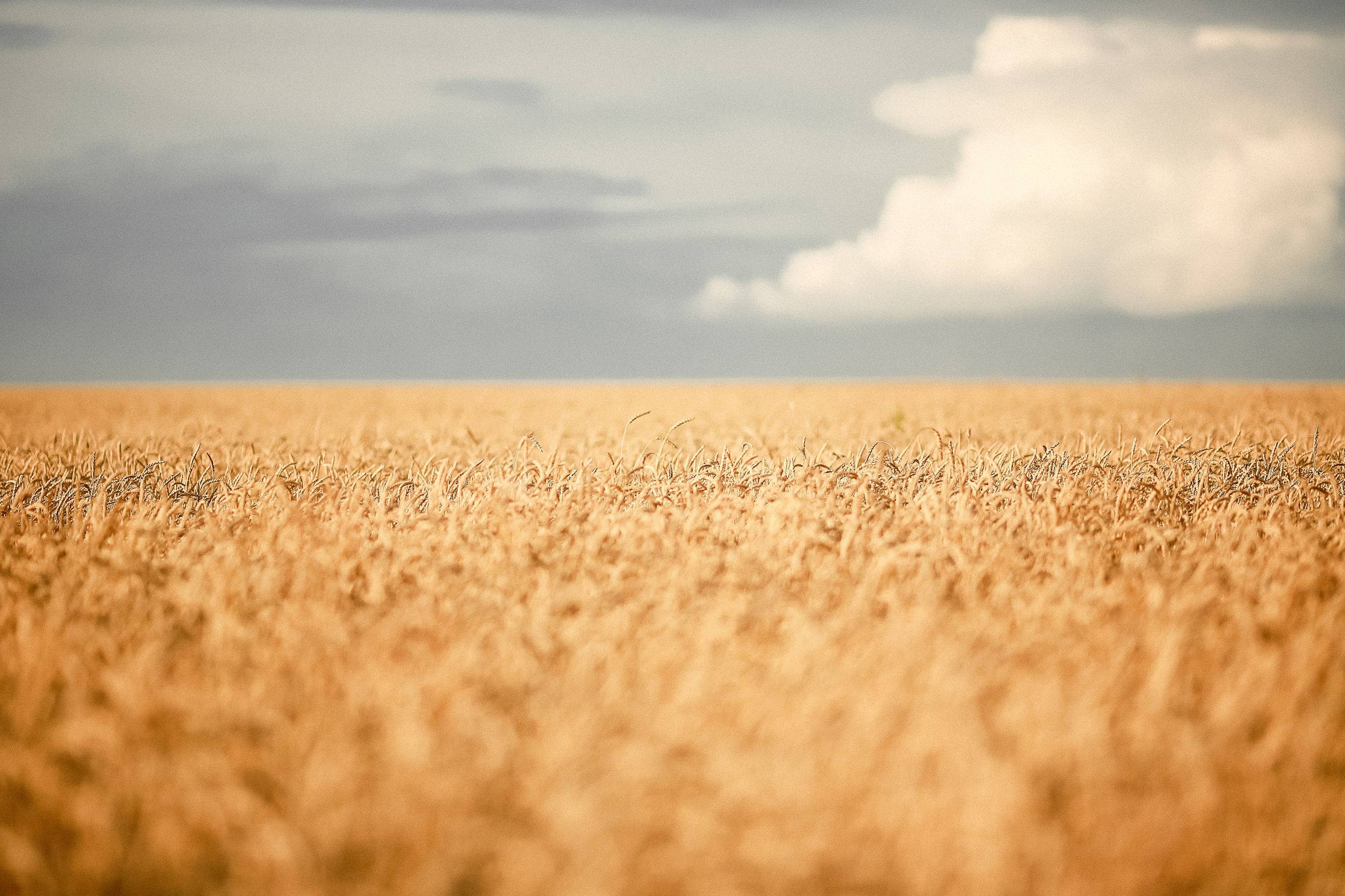 Магия обыкновенного. Фотограф-документалист и фототерапевт Настя Китаева. Город Москва
