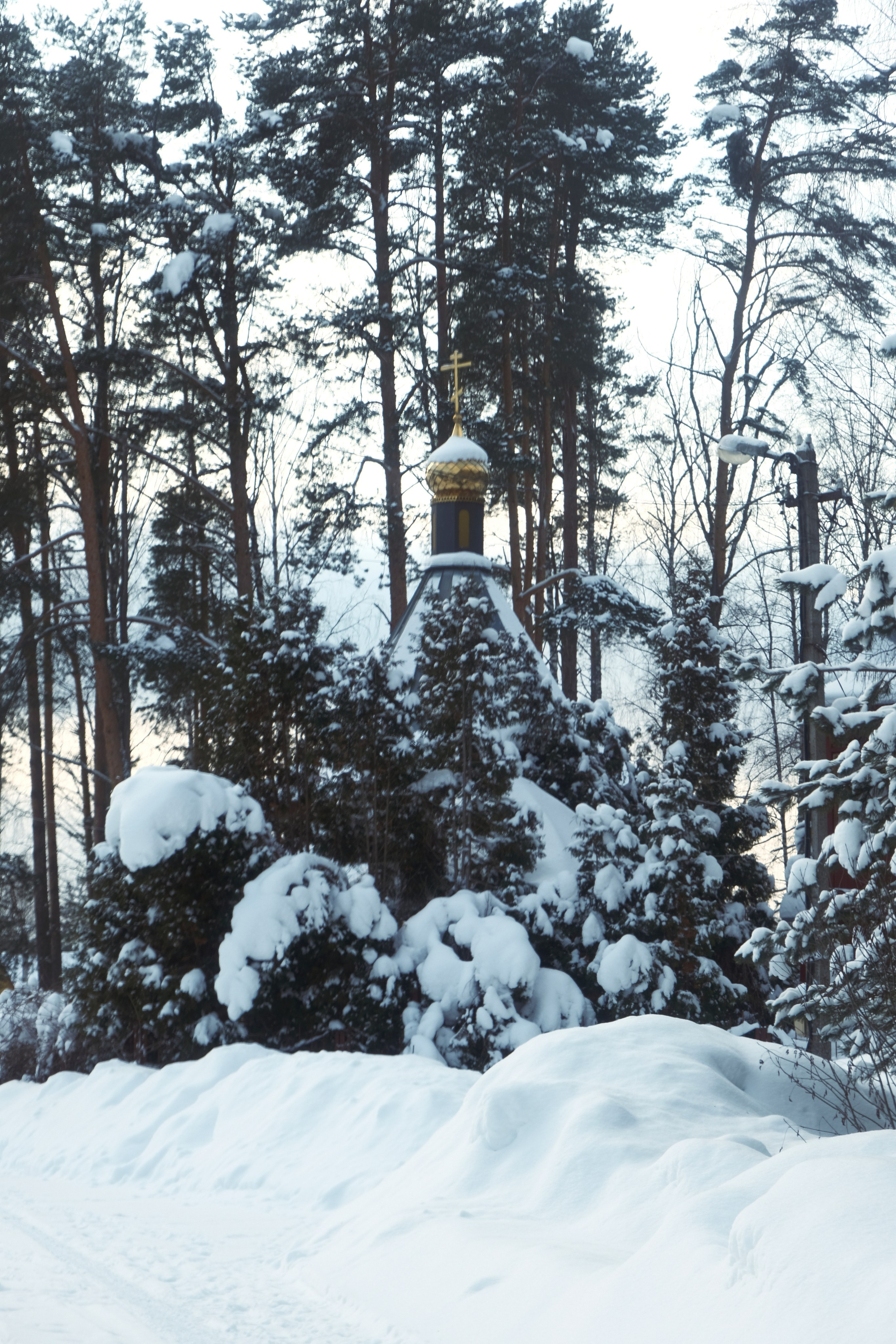 Под Москвой. Фотограф Настя Лев