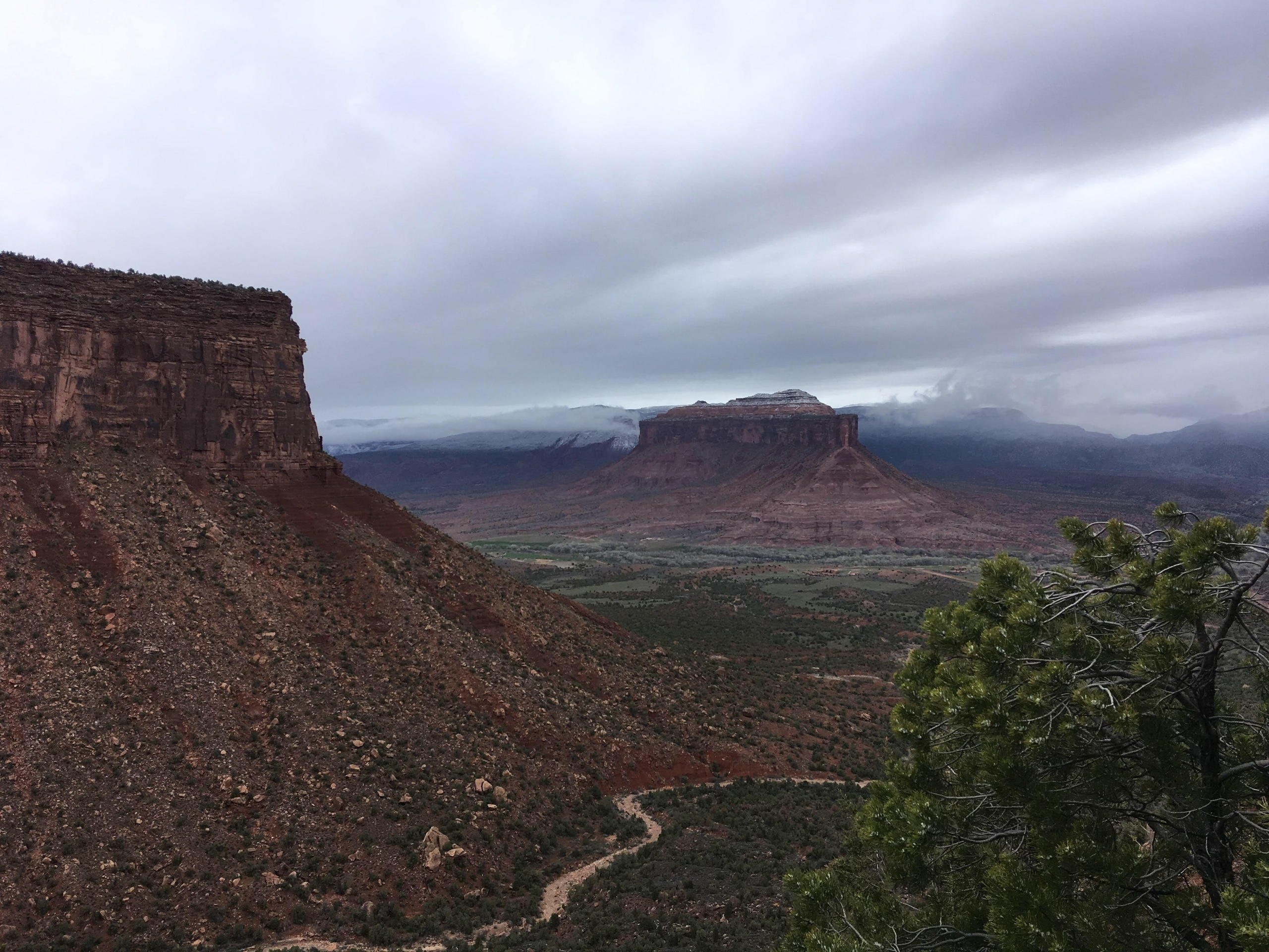 Мобильная фотография. Калужский городской фотоконкурс