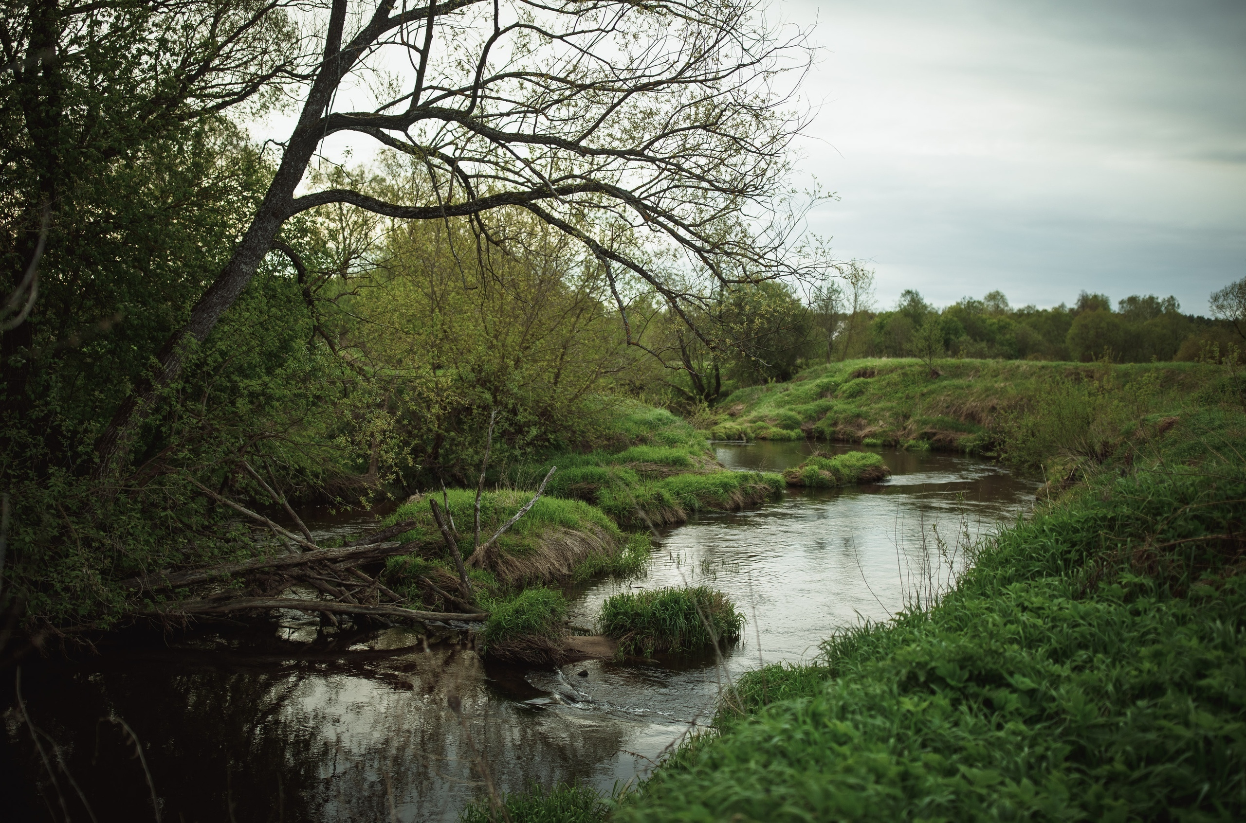 Мобильная фотография. Калужский городской фотоконкурс
