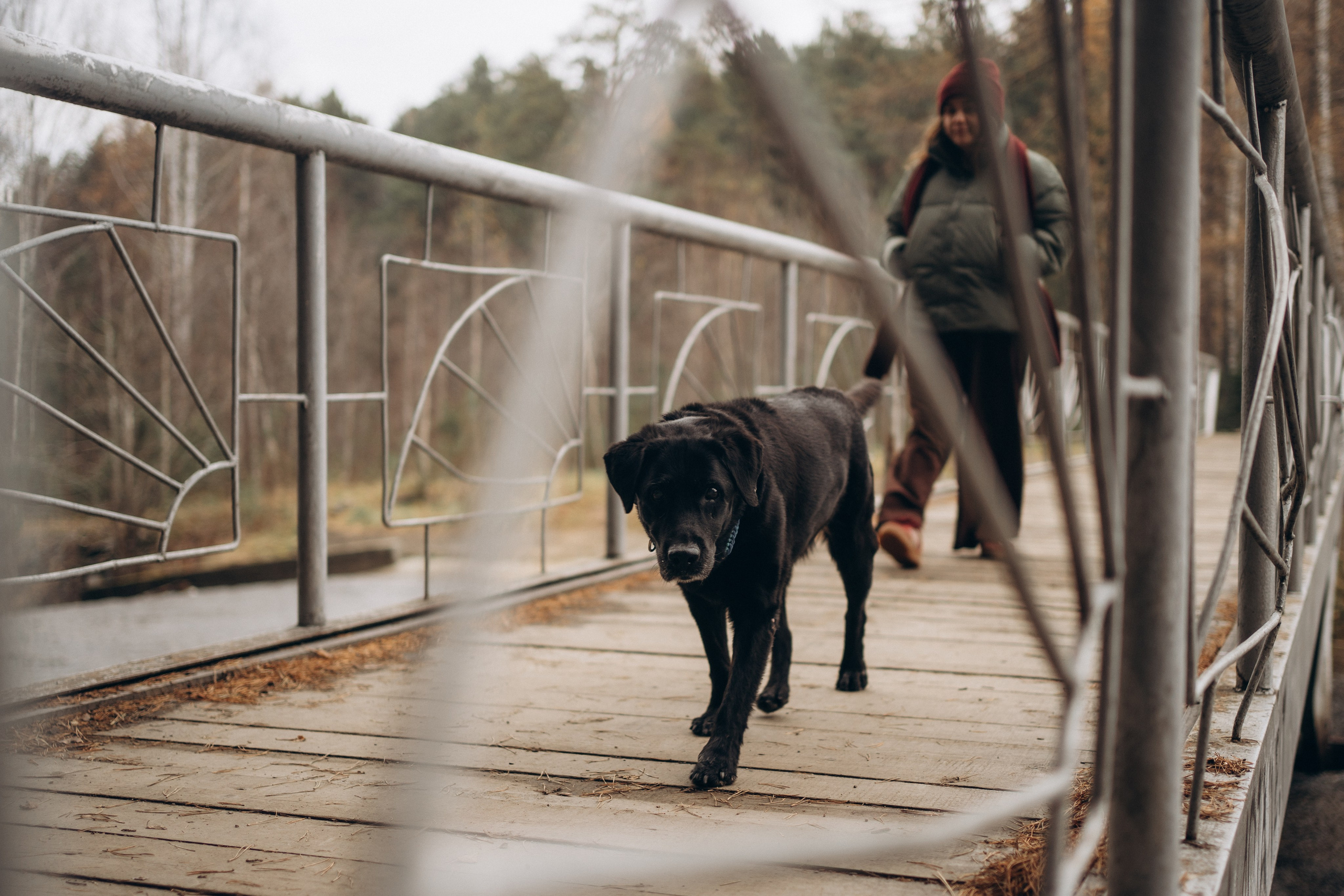 Таня и Молли. Фотограф-анималист Анастасия Большакова