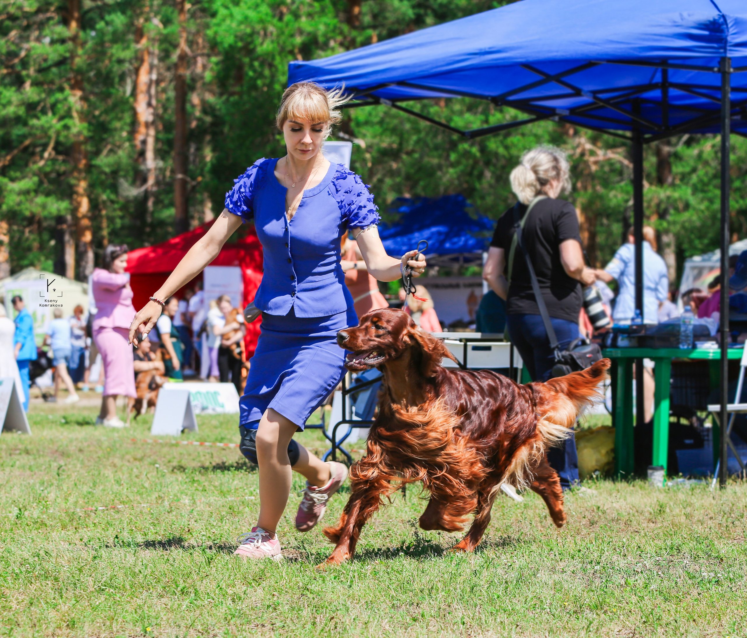 Съемка собак. Анималистика. Репортаж. Индивидуальная съемка