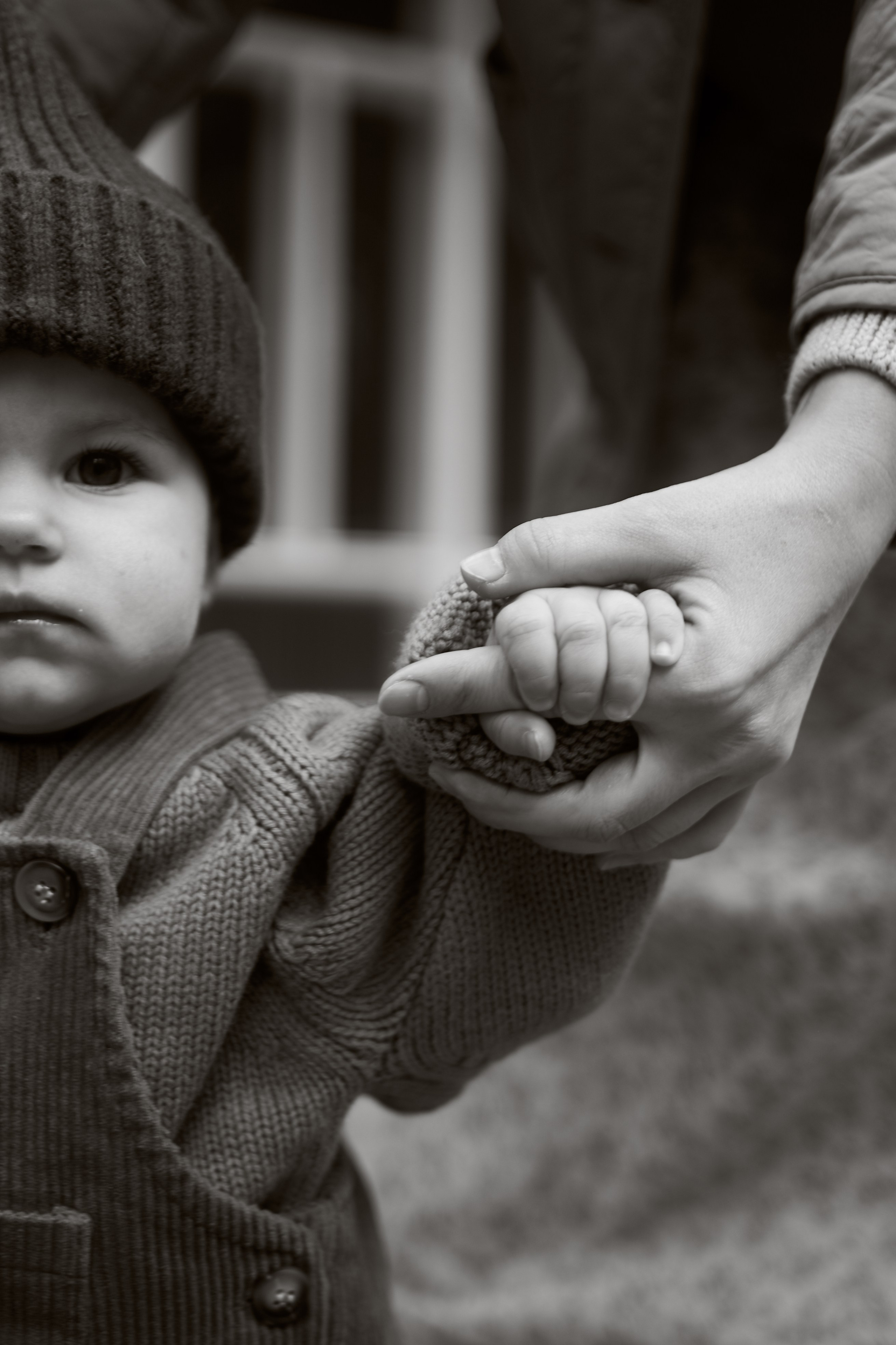 Первые шаги. Фотограф анималист Москва Дарья