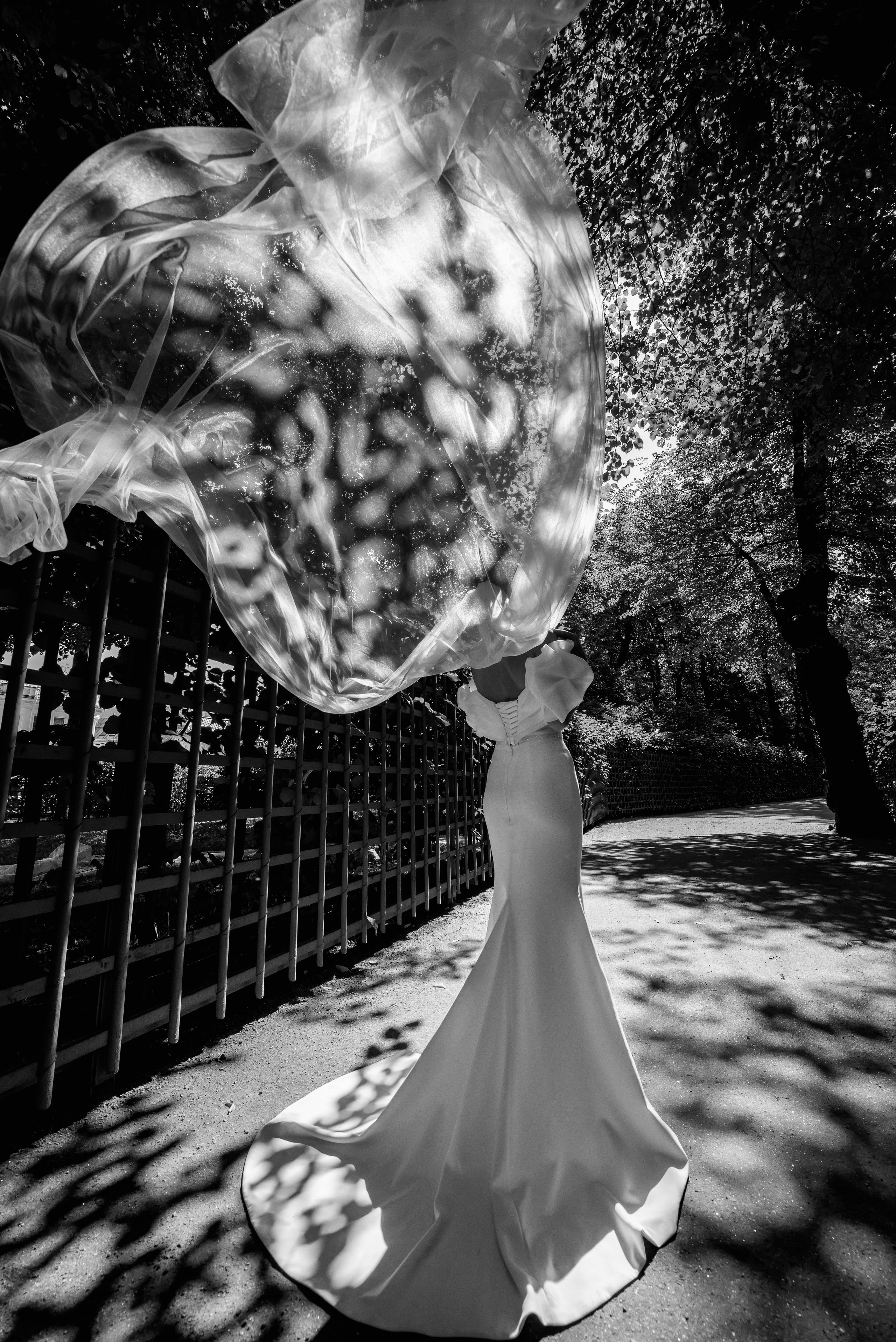черно-белая свадебная фотография, где легкая воздушная фата развивается прямо по ветру у невесты в элегантном платье с небольшим шлейфом на свадебной прогулке в Летнем саду.