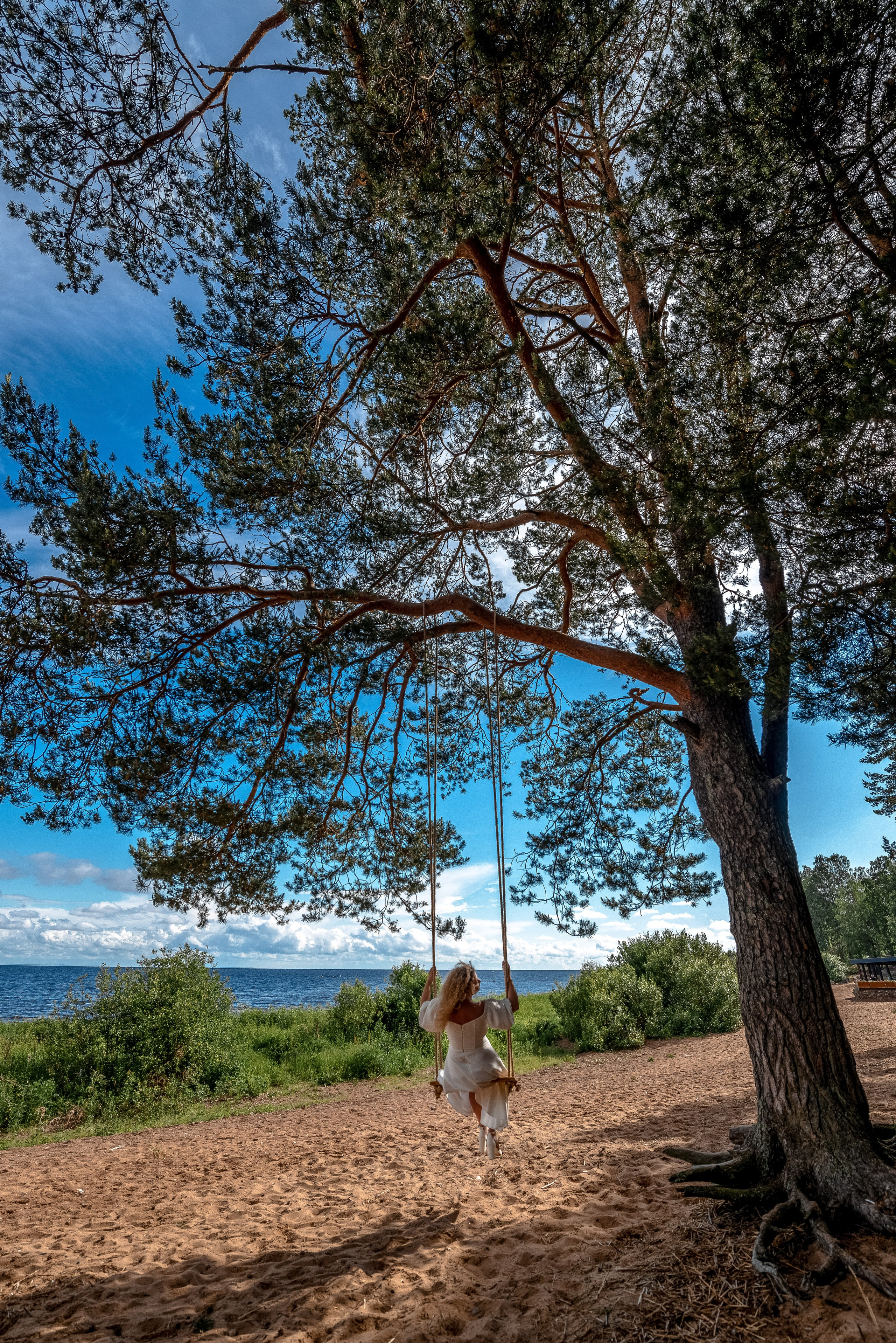 TOP-500 Самые красивые и лучшие свадебные фотографии от профессионального свадебного фотографа в Санкт-Петербурге Ширяева Дениса. Портретный, семейный и свадебный фотограф в Санкт-Петербурге и в Пушкине Ширяев Денис