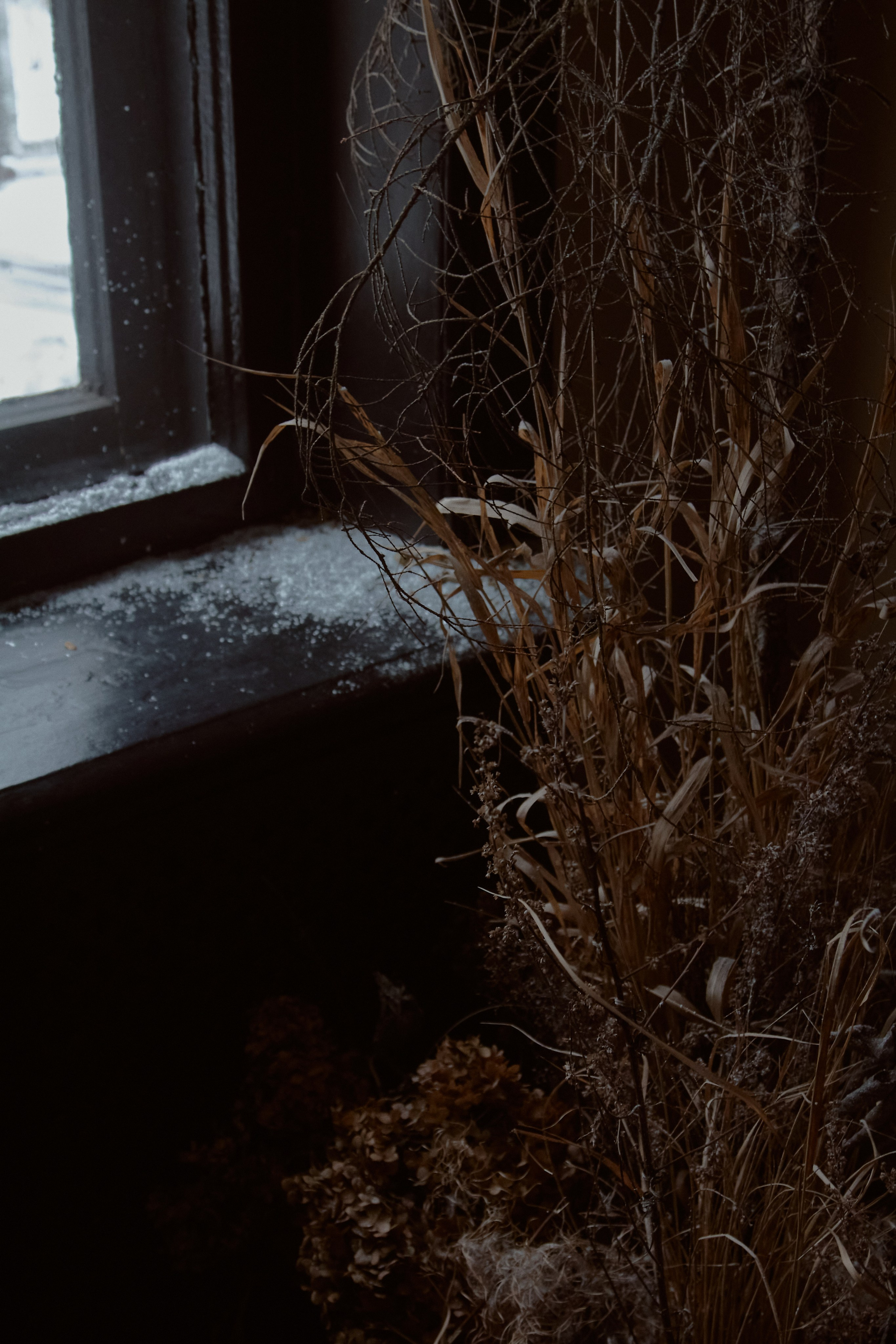 Екатерина и Константин. Фотограф лавстори Москва/МО Приятелева Ангелина