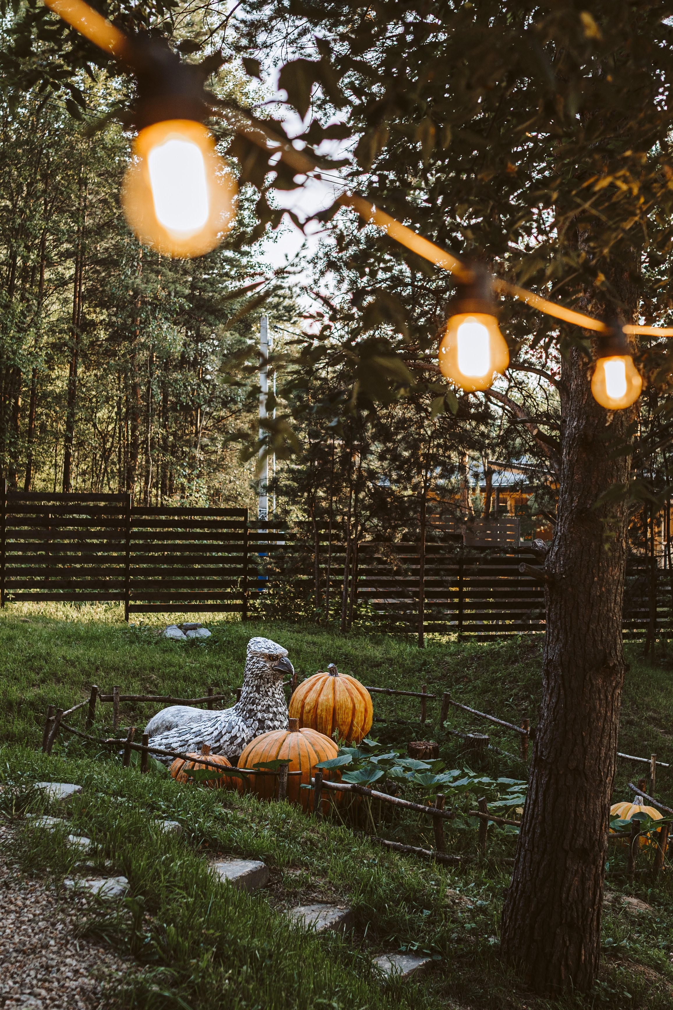 Хижина Хагрида. Свадебный фотограф Курзина Ольга | Москва