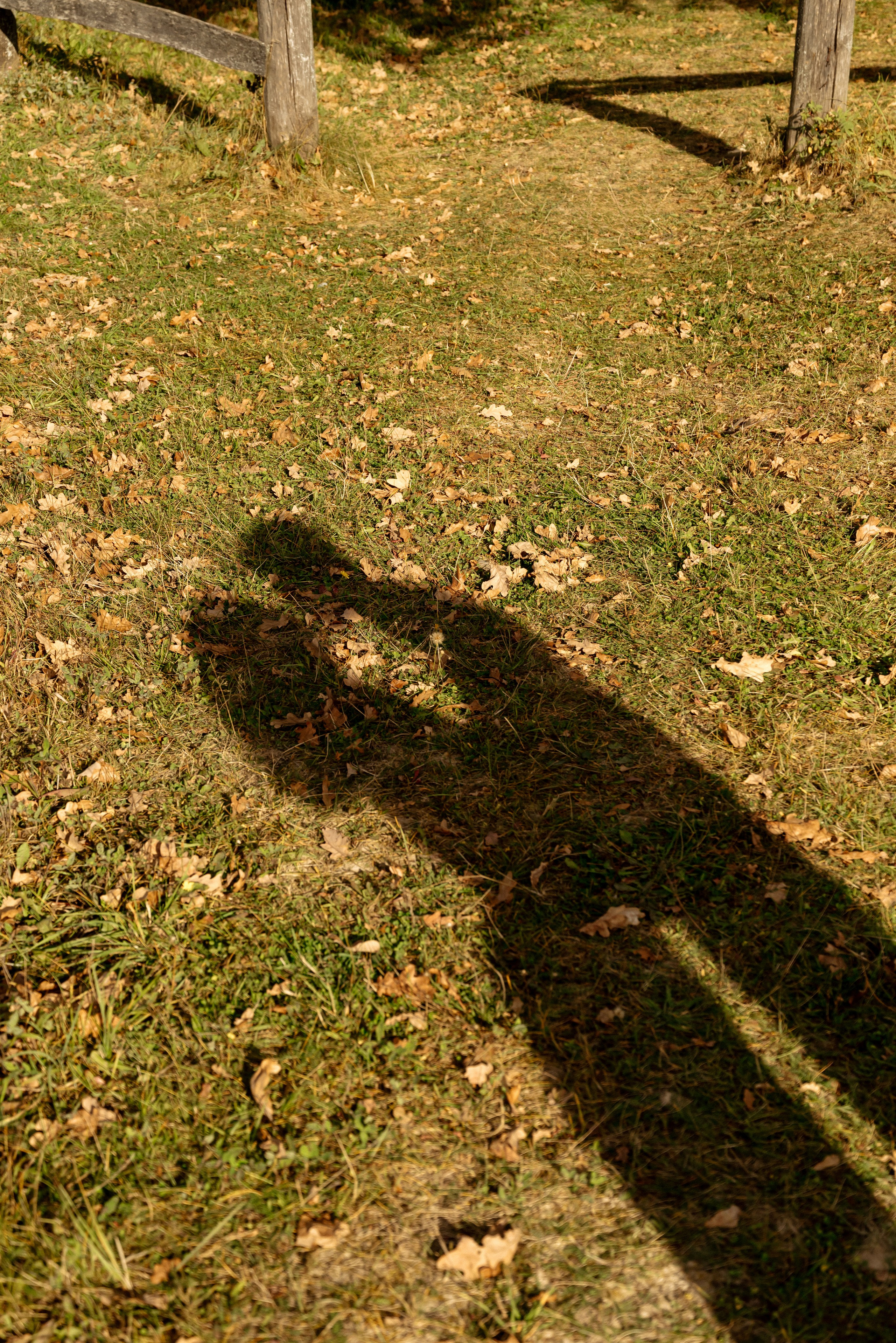 LOVESTORY. Артем Гусев фотограф Иваново