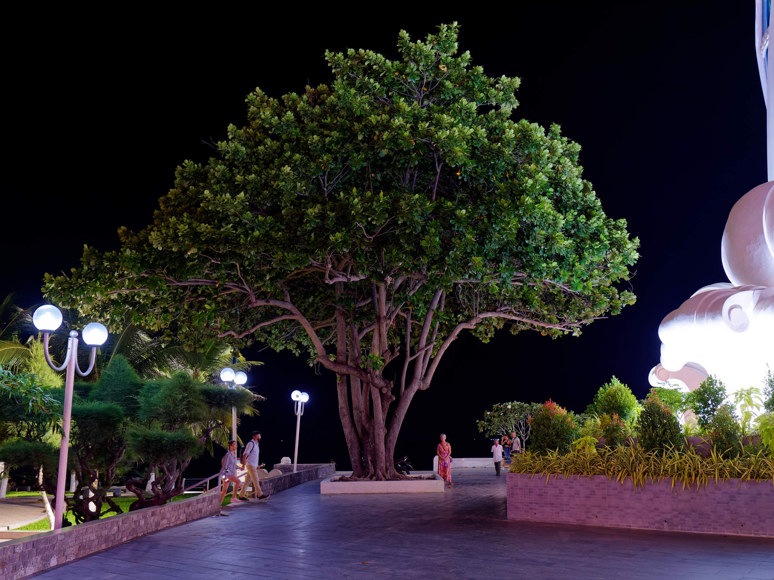 Нячанг 2023. Избранные фотографии