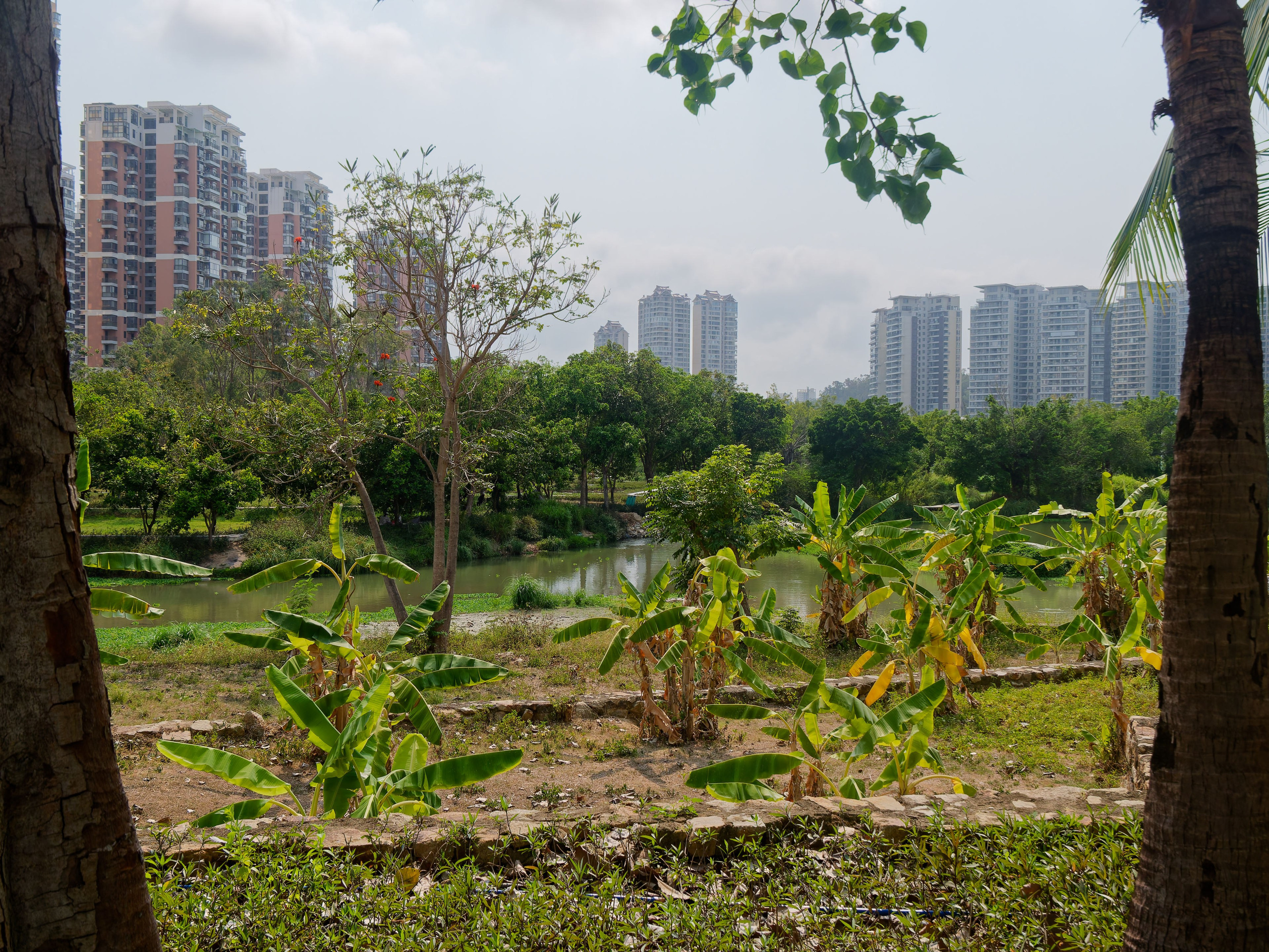 Хайнань 2026, улицы Ялунвань и Саньи. Фотопрогулки по Миру