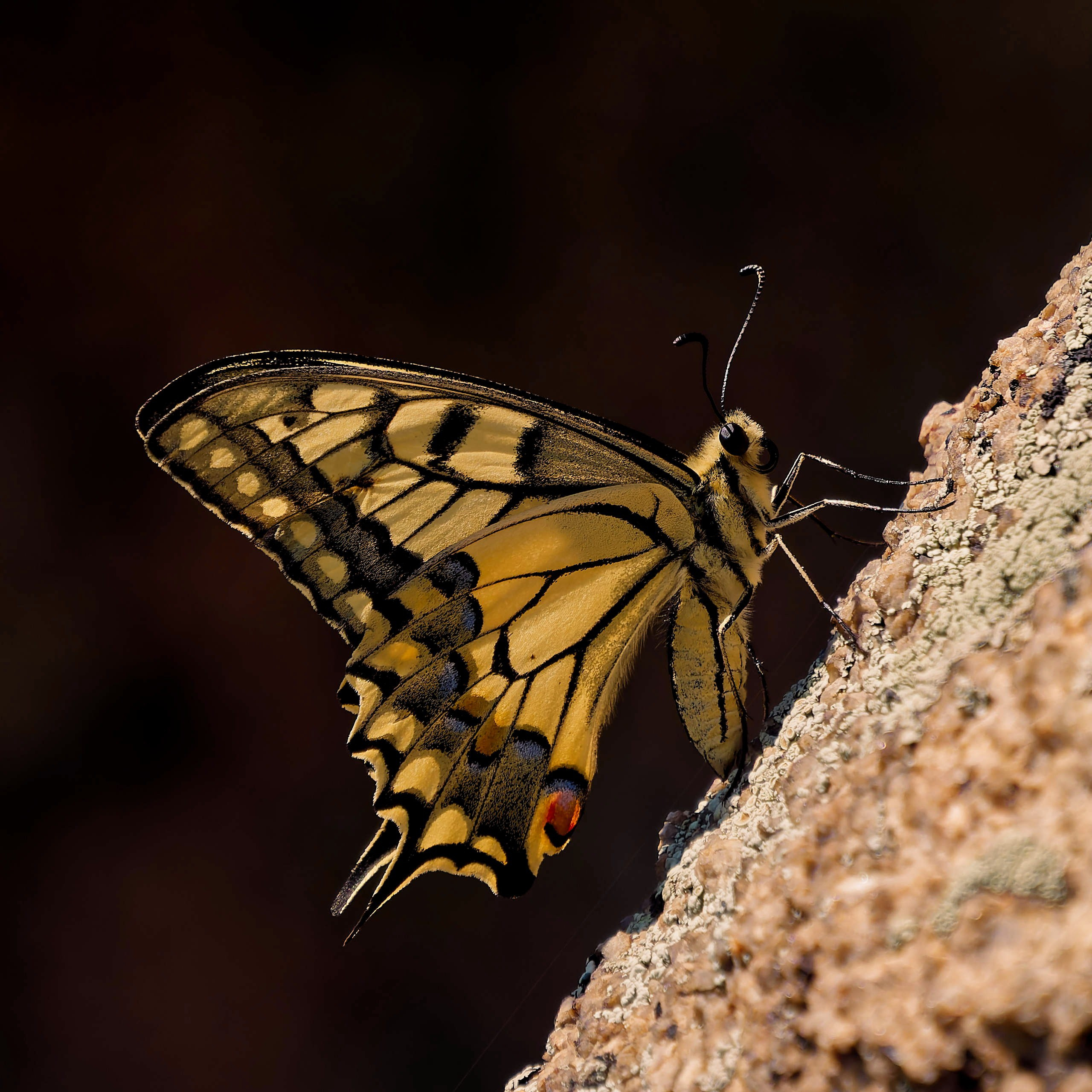 Боровое 2021 (из архива). Избранные фотографии