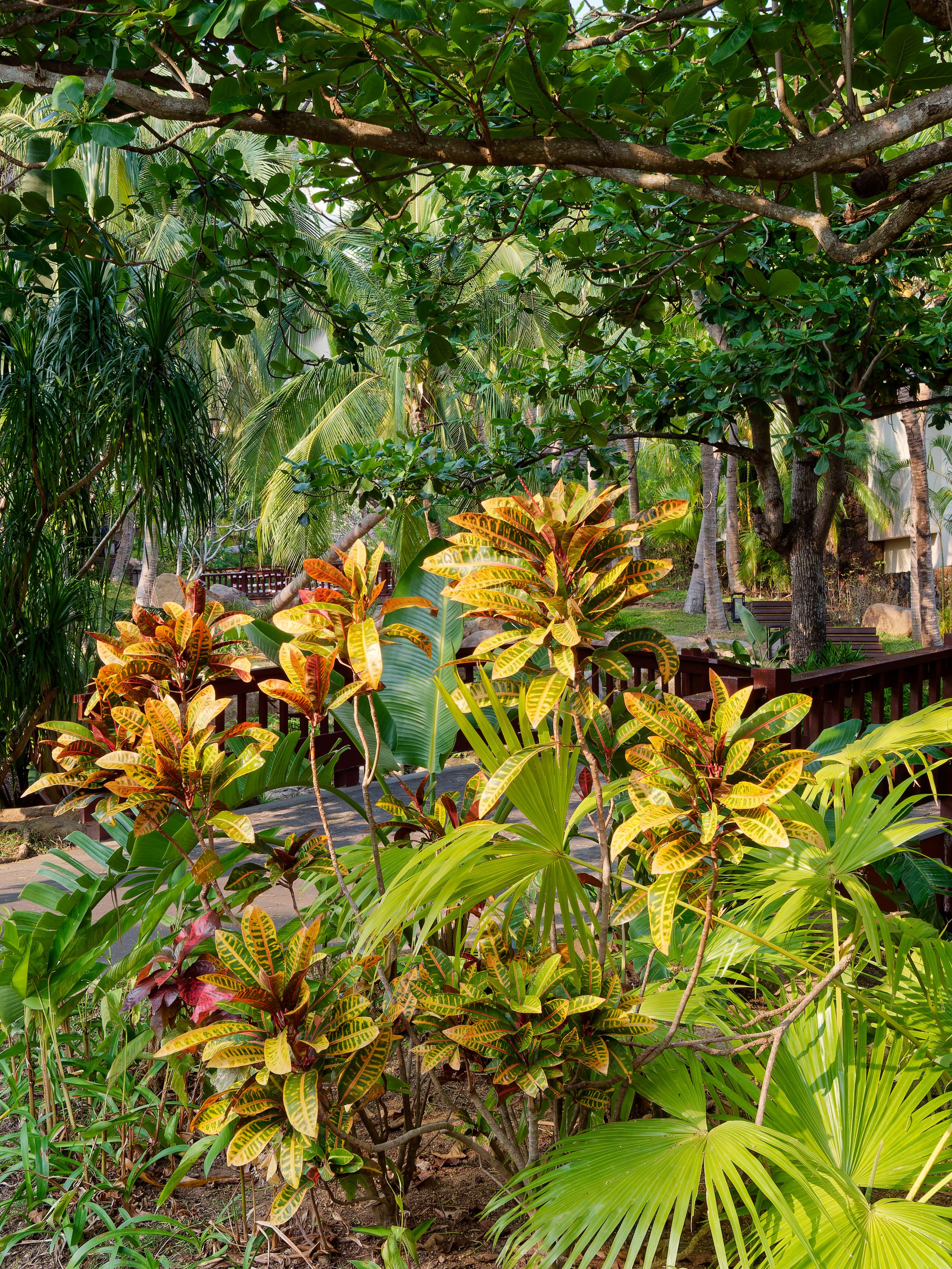 Хайнань 2026, первые впечатления. Фотопрогулки по Миру