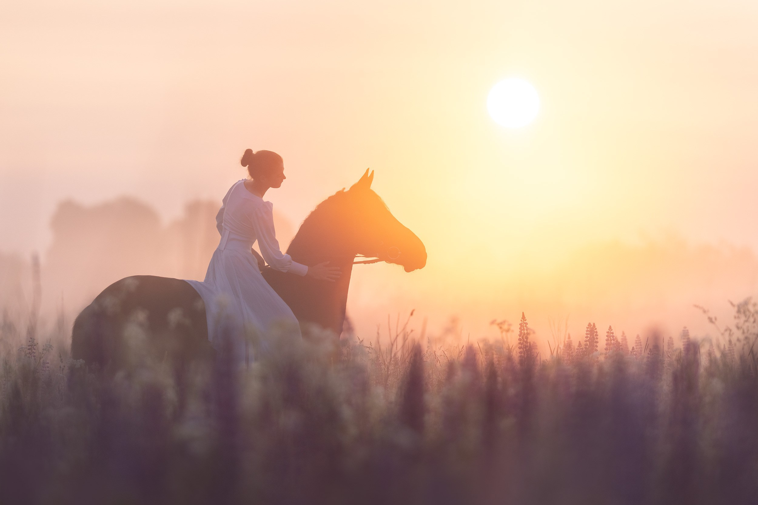 Лошади. Фотограф Анастасия Ветковская, Москва