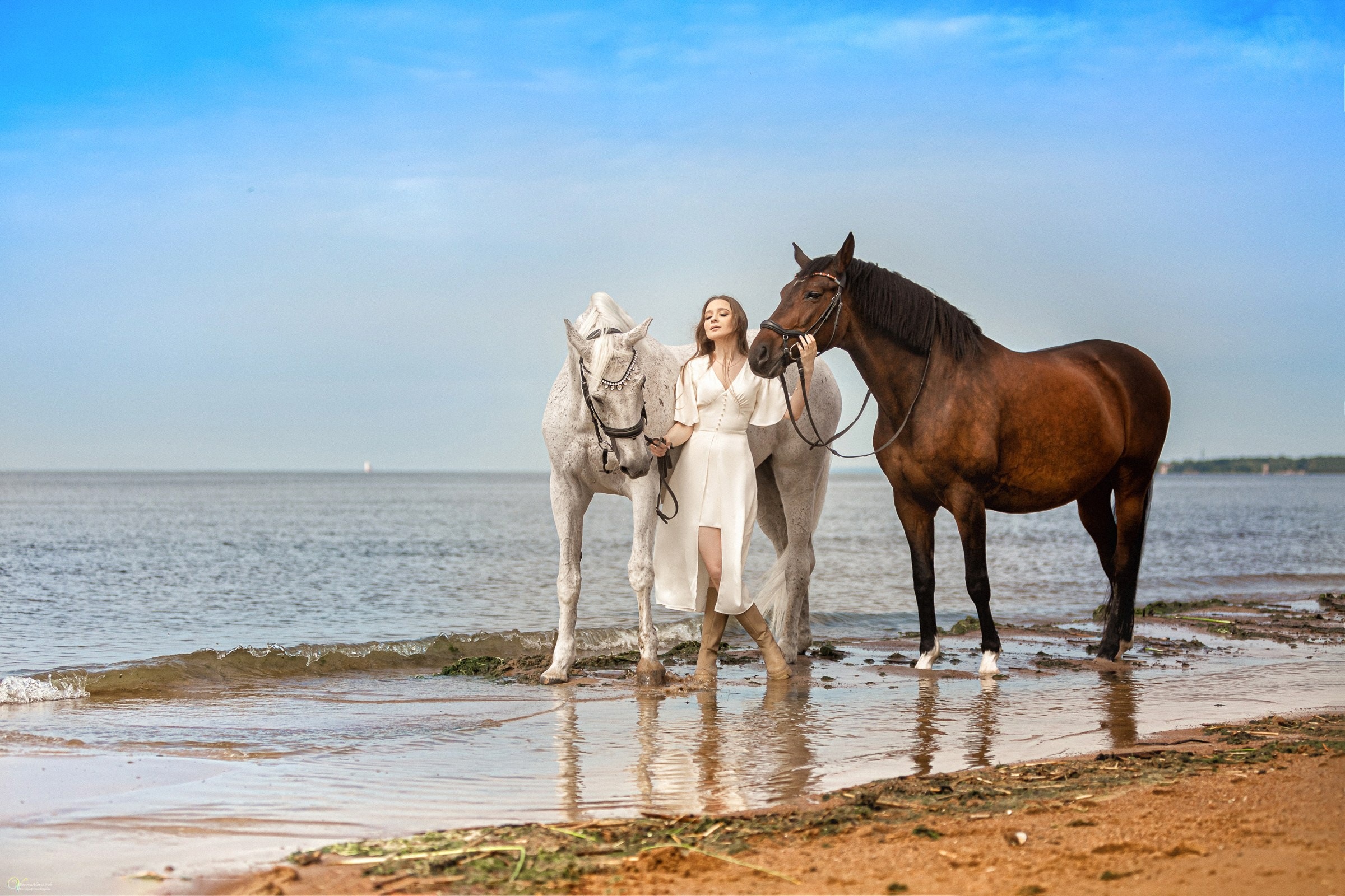 Фотосессии с лошадьми летом. Фотограф женский и мужской портрет Санкт-Петербург