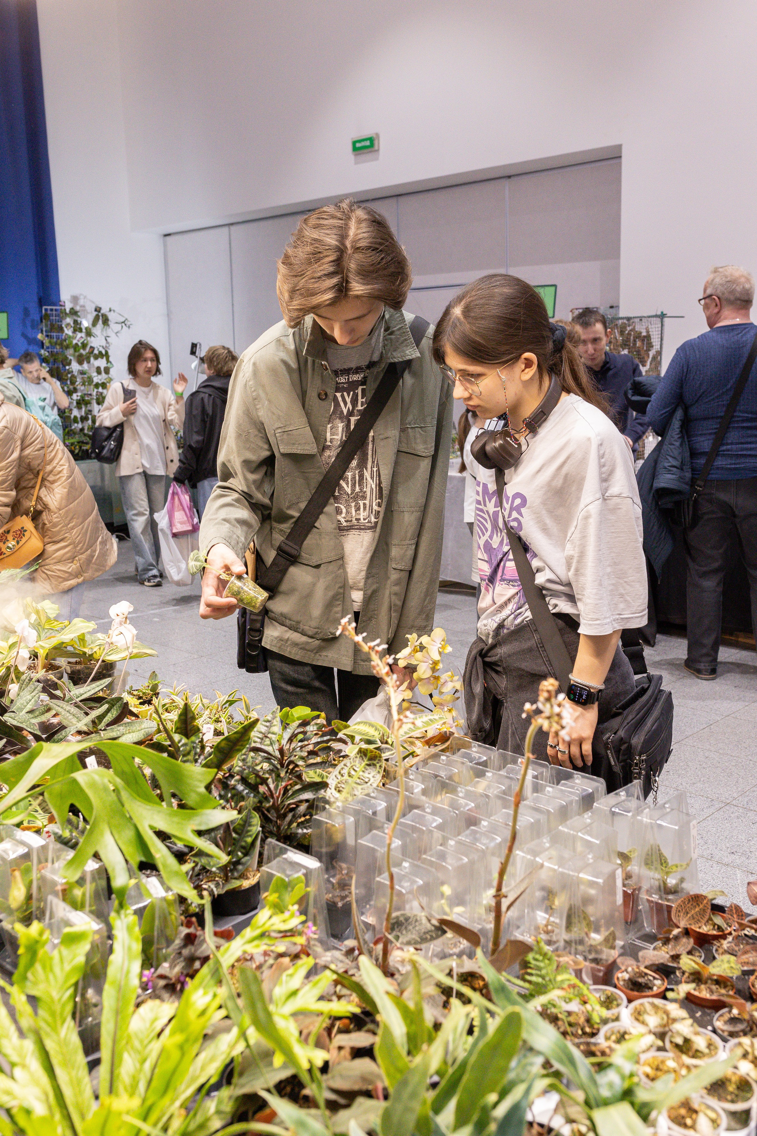 Орхидиум май 2025. Александра Куликова фотограф, Москва