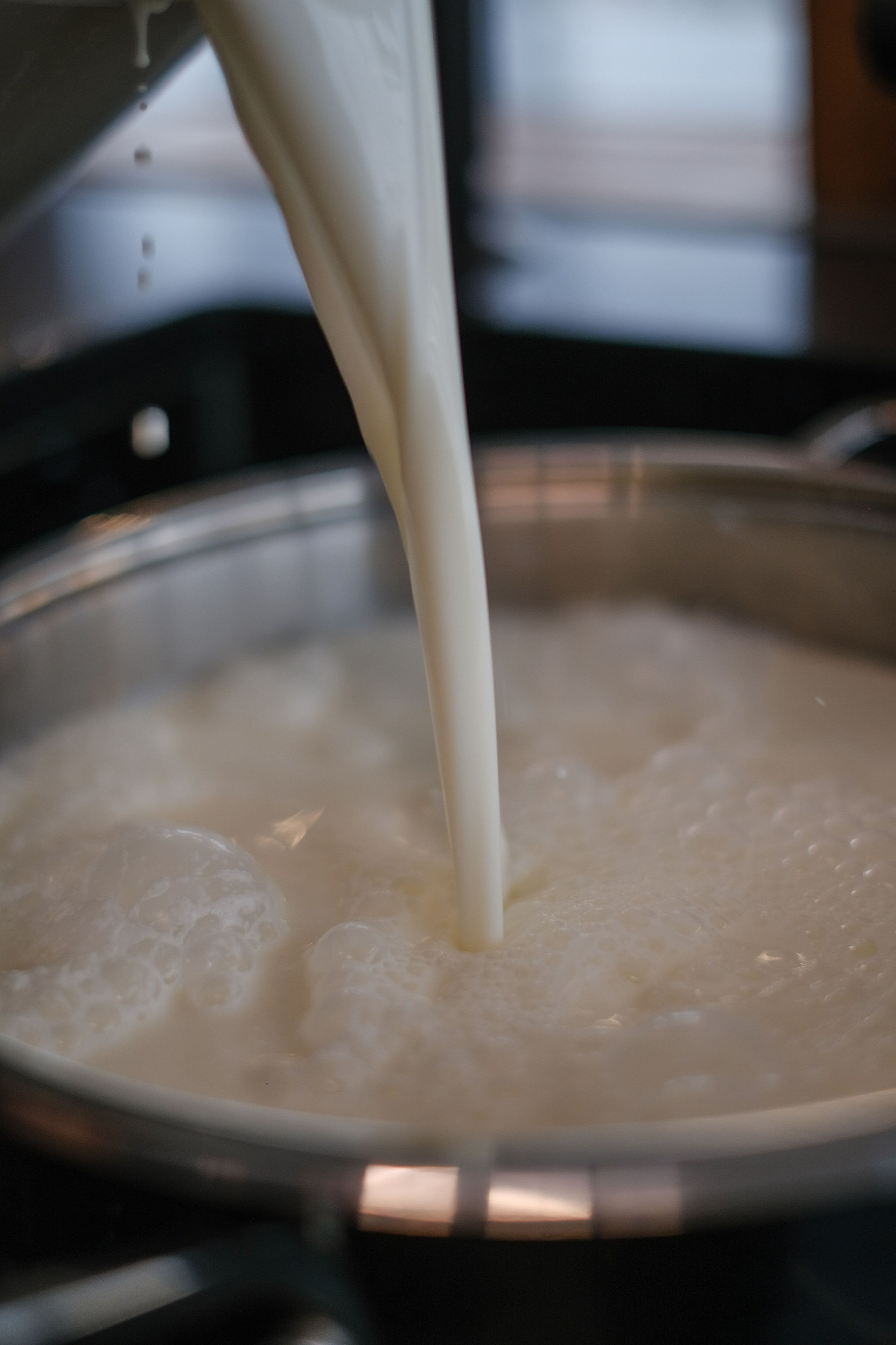 Домашний сыр бренда «TAGA». Портретные и творческие съемки Санкт-Петребург