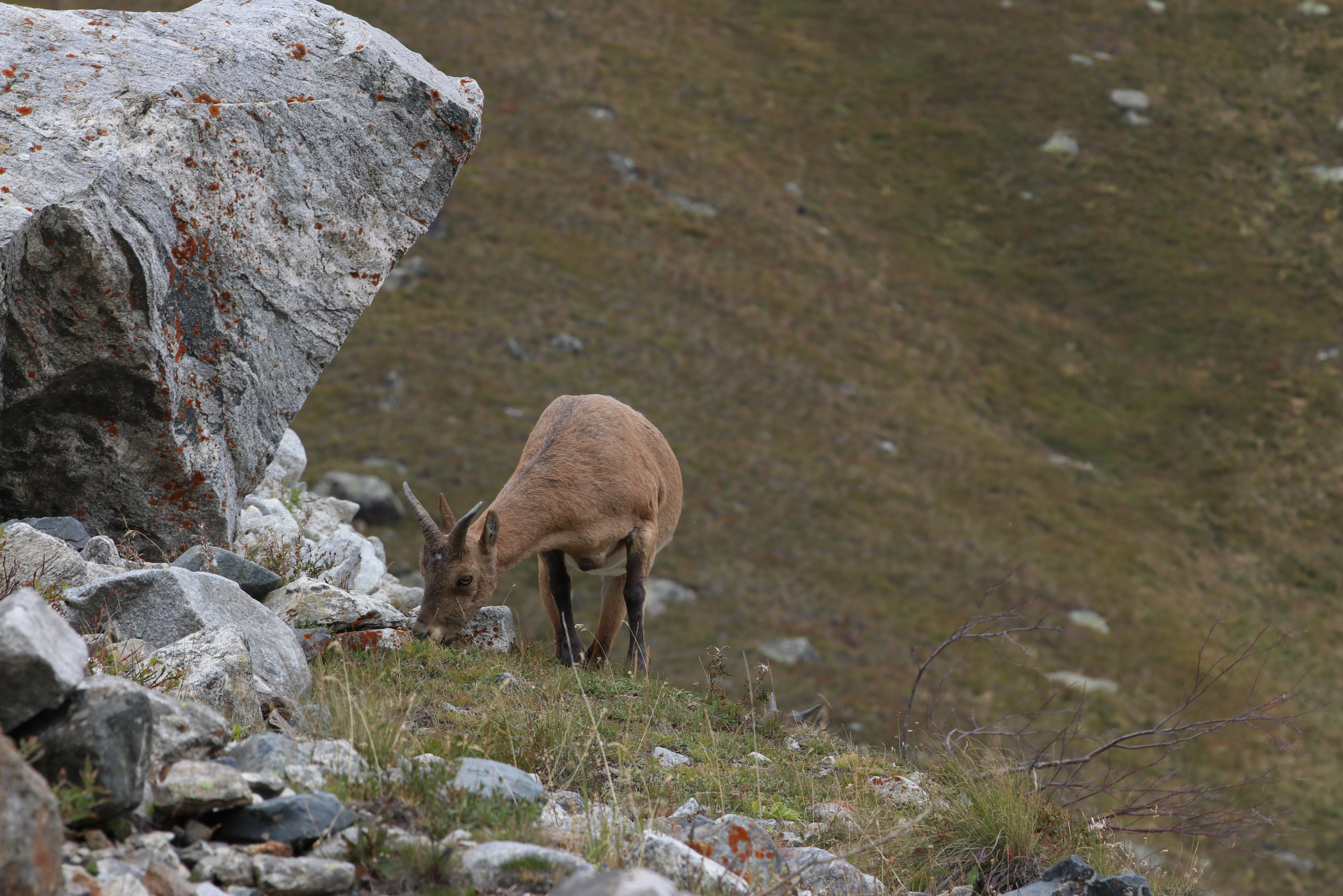 Приэльбрусье. Сентябрь 2023. Путешественник-фотограф из Санкт-Петербурга Татьяна Свистулина