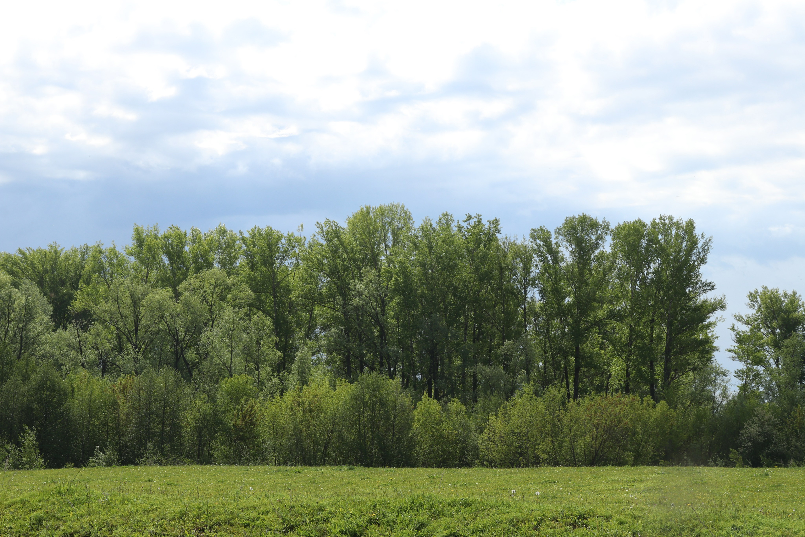 Велопоход Уфа — Мелеуз. Май 2024. Путешественник-фотограф из Санкт-Петербурга Татьяна Свистулина