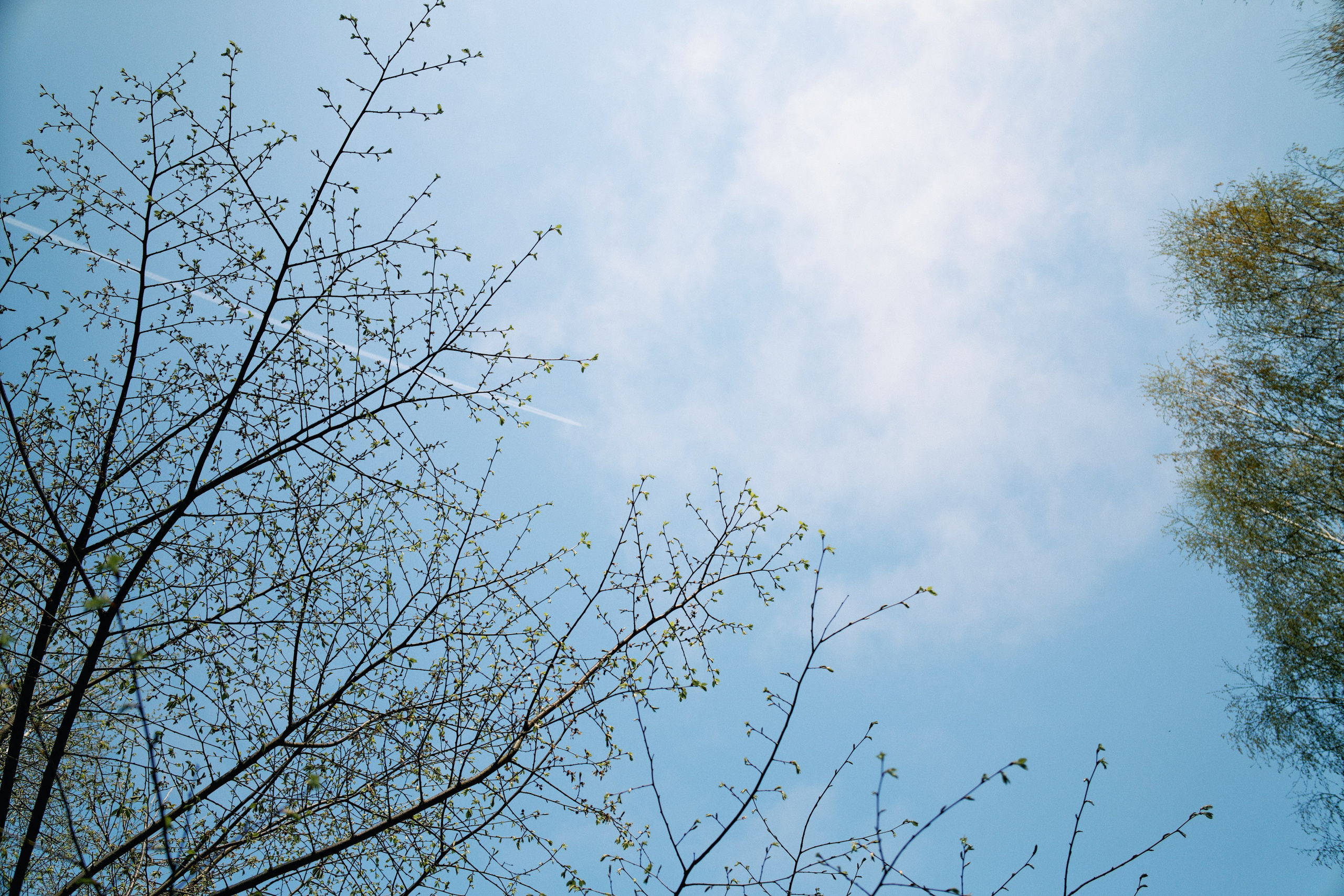 Бутик-отель Поле летом. Профессиональный Фотограф во Владимире, в Москве и в Суздале — Полина Романычева