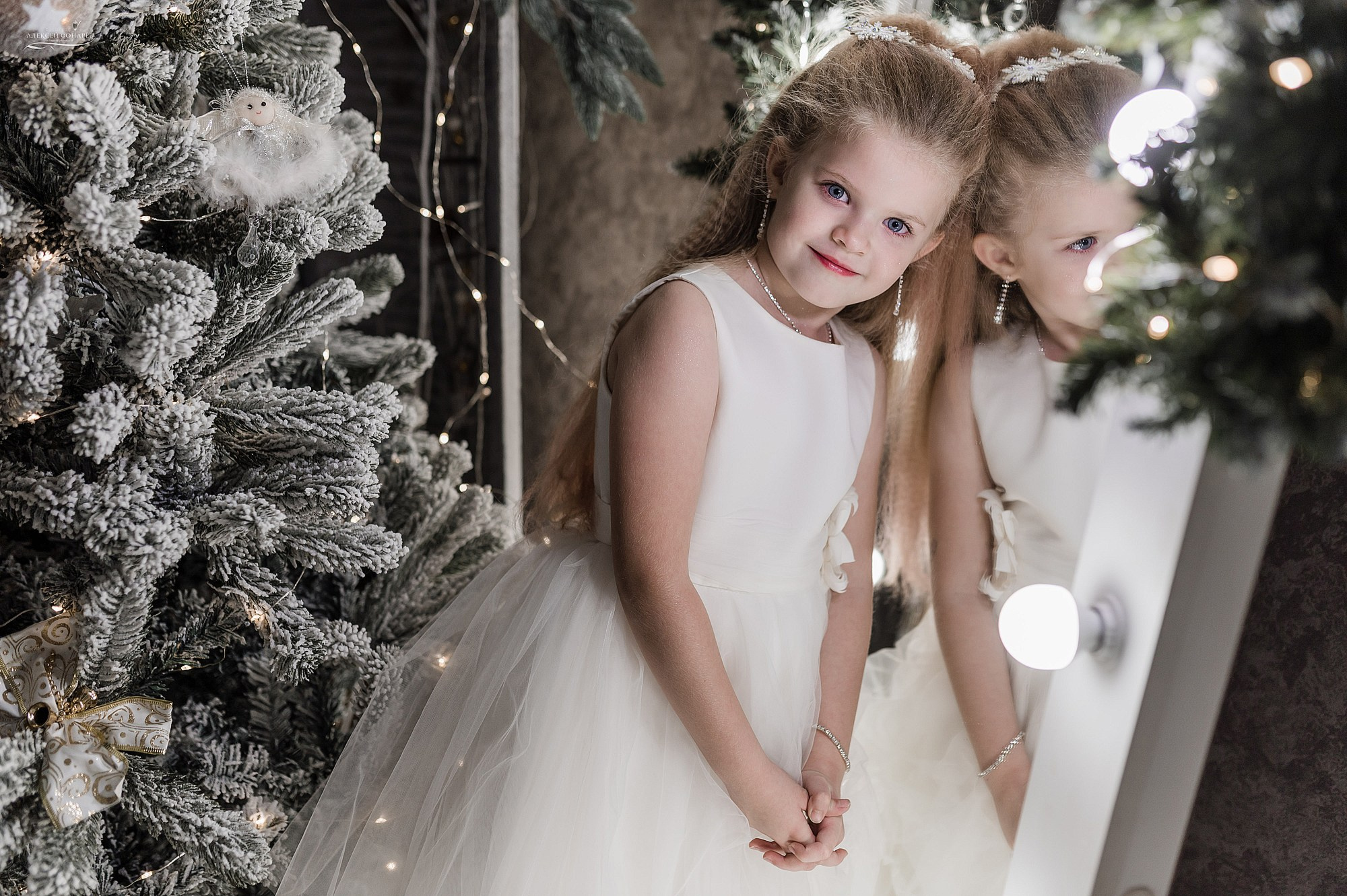 Новогодняя фотостудия в Дубне Кимрах Талдоме. Свадебный фотограф в Дубне Алексей Фонарёв