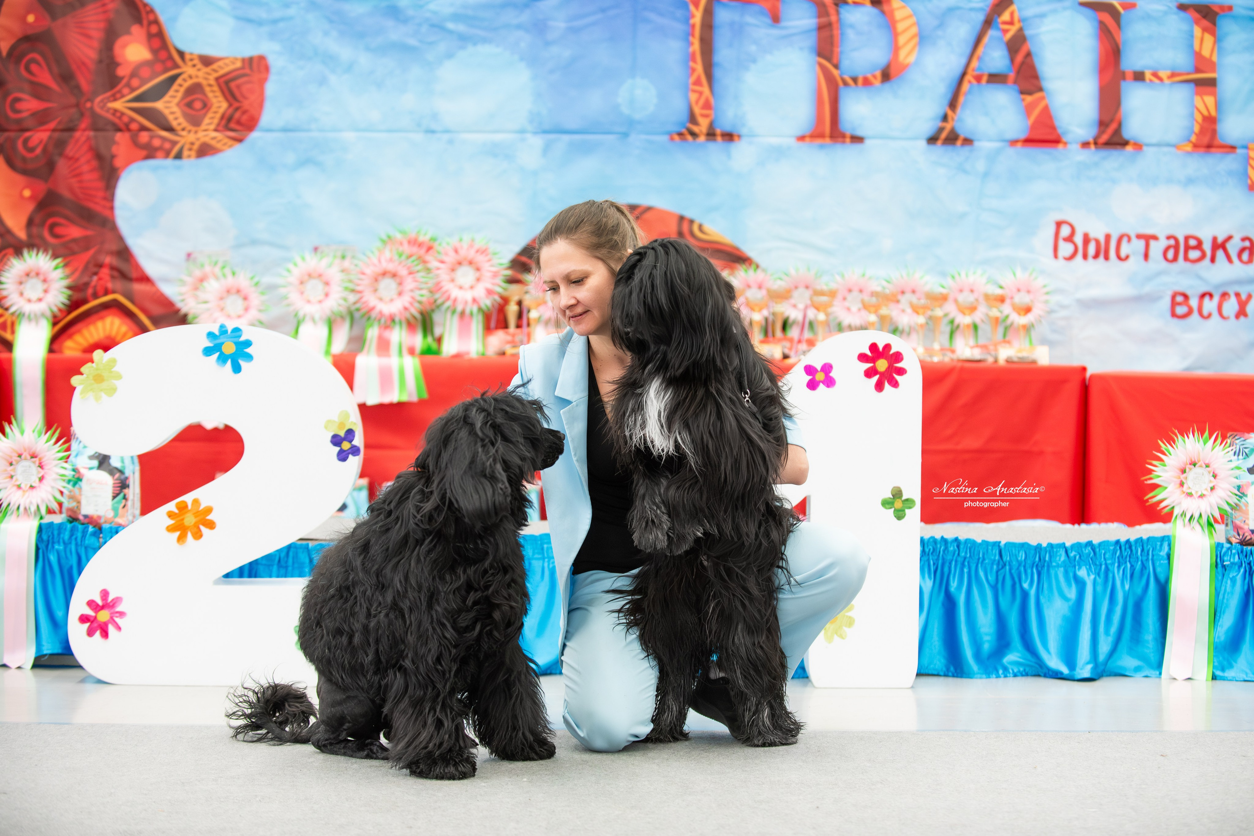 Выставки. Фотограф — Анималист