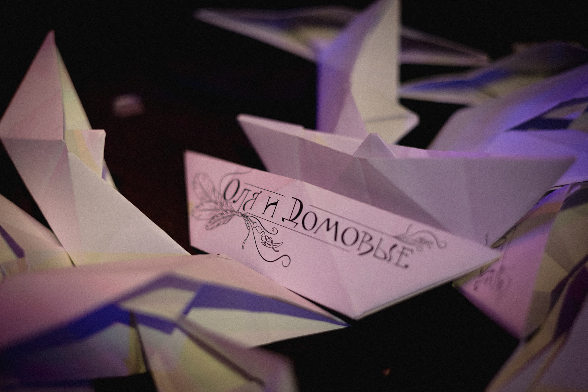 ОЛЯ И ДОМОВЫЕ. Фотограф Сонкина Татьяна