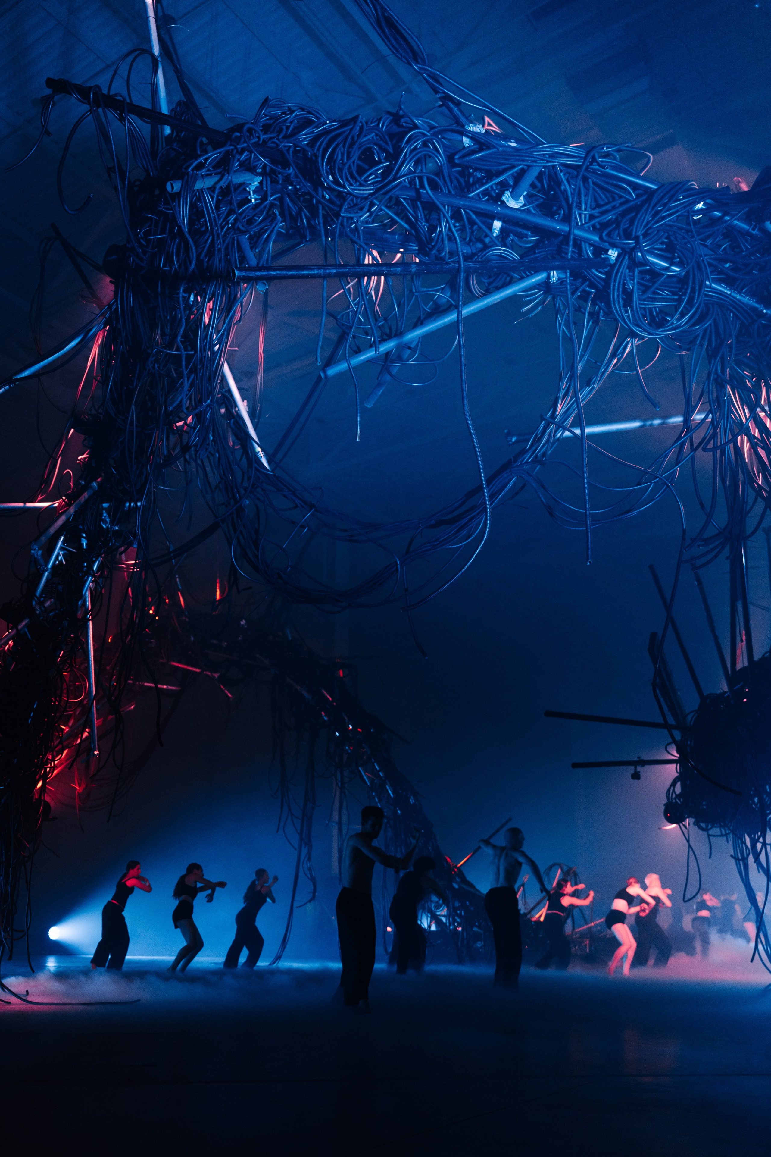 PERFORMA, The Hour of the Horse. @tomrus: Рустам Шагиморданов — фотограф