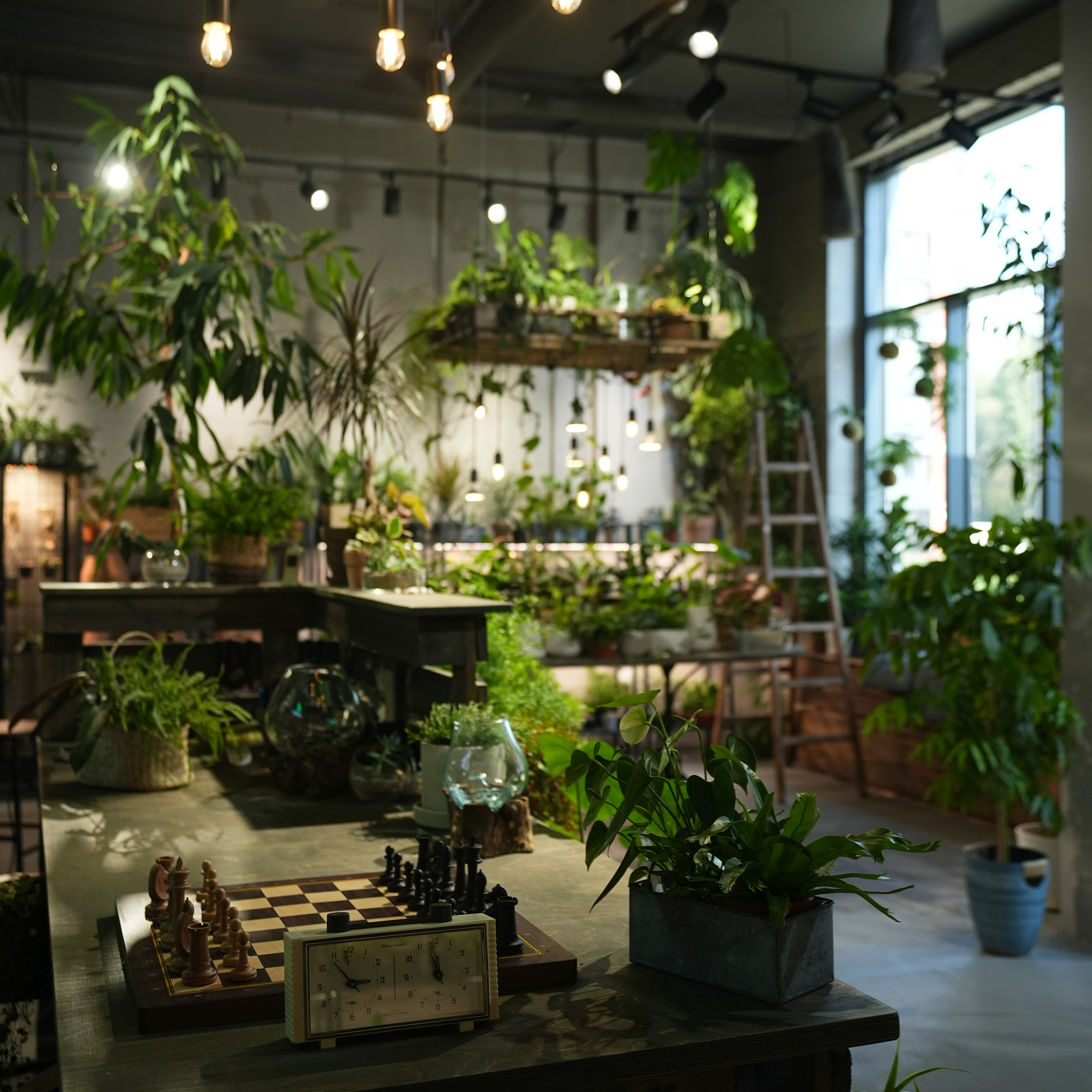 Интерьерная фотосъемка флористического магазина