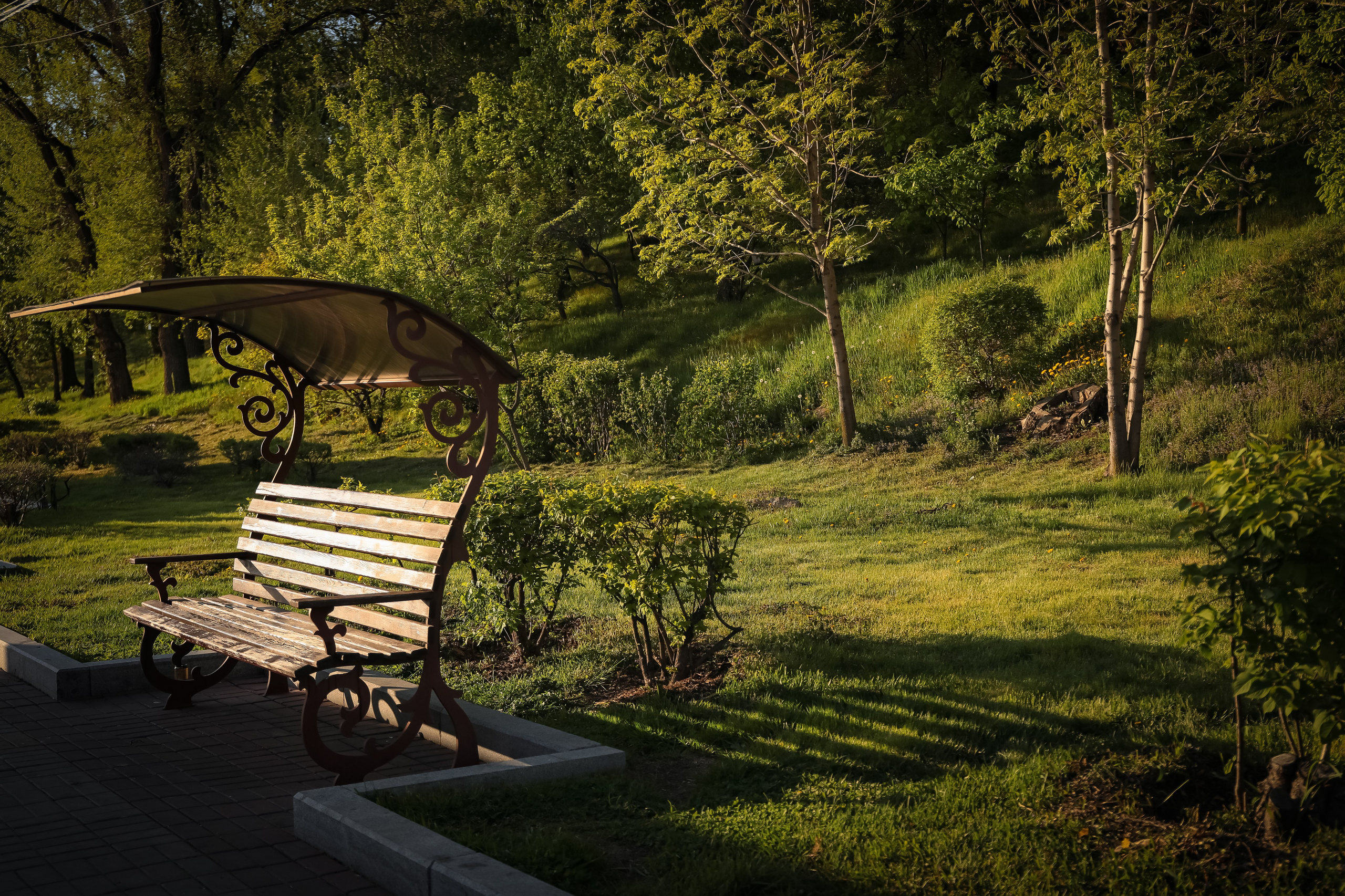 На набережной. Фотограф г. Хабаровск. Семейные и индивидуальные съёмки