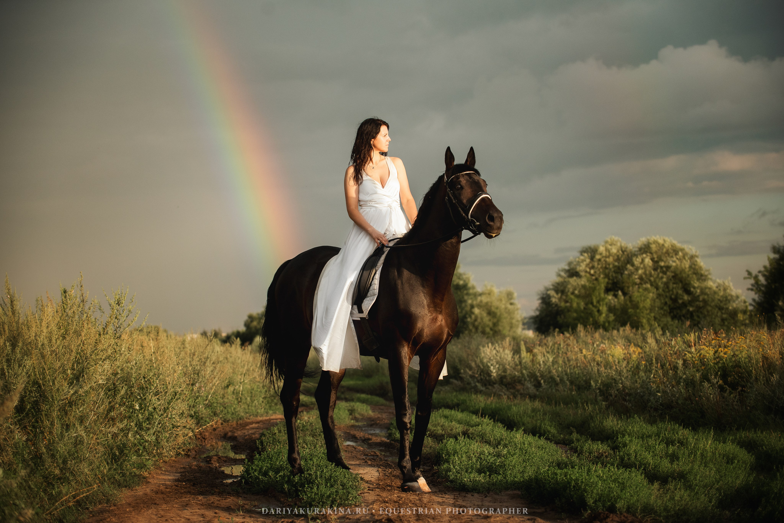 Юля и Декупаж — Поле. Конный фотограф Куракина Дарья • Фотосессии с лошадьми