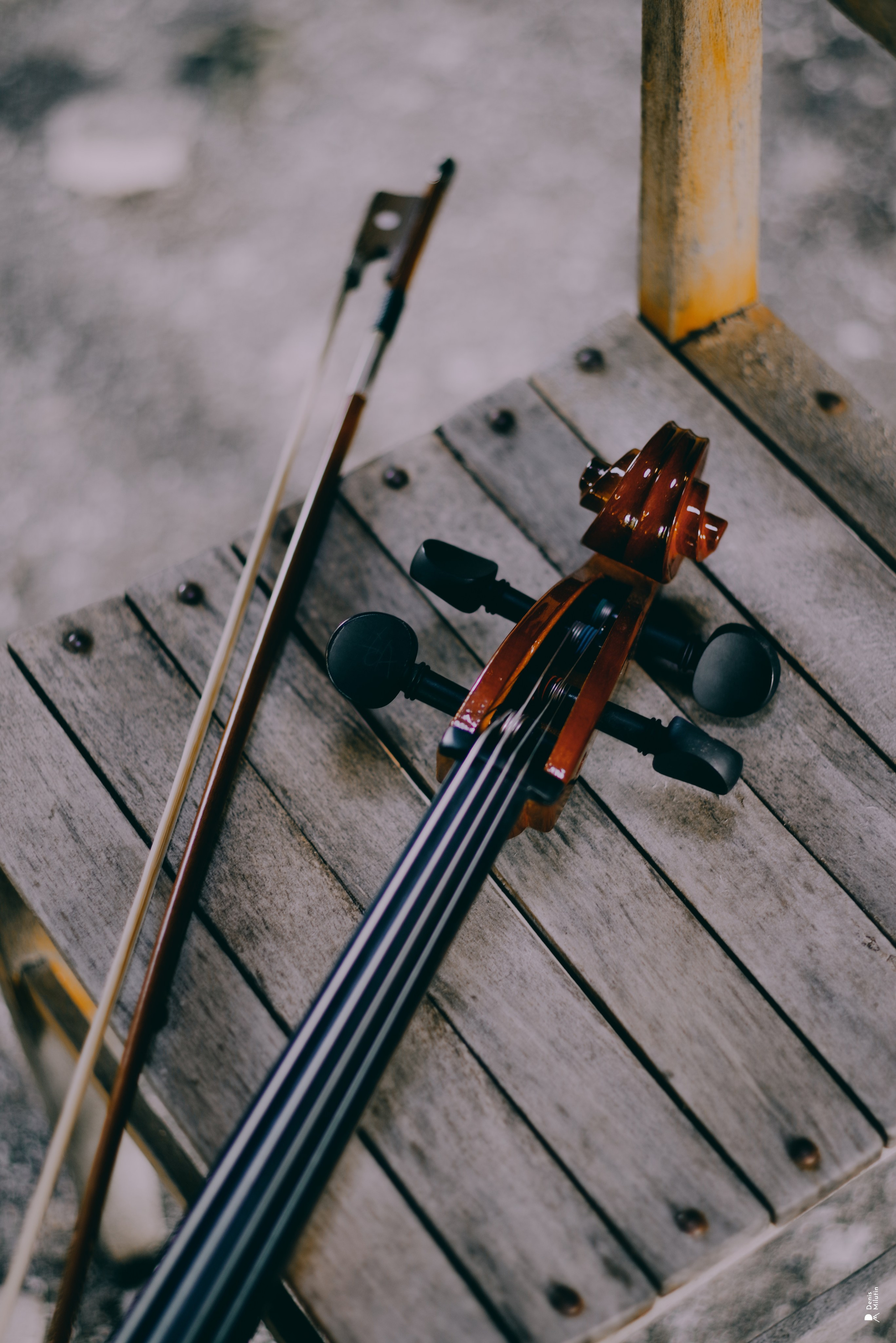 Виолончелист. Портретный фотограф Денис Милютин